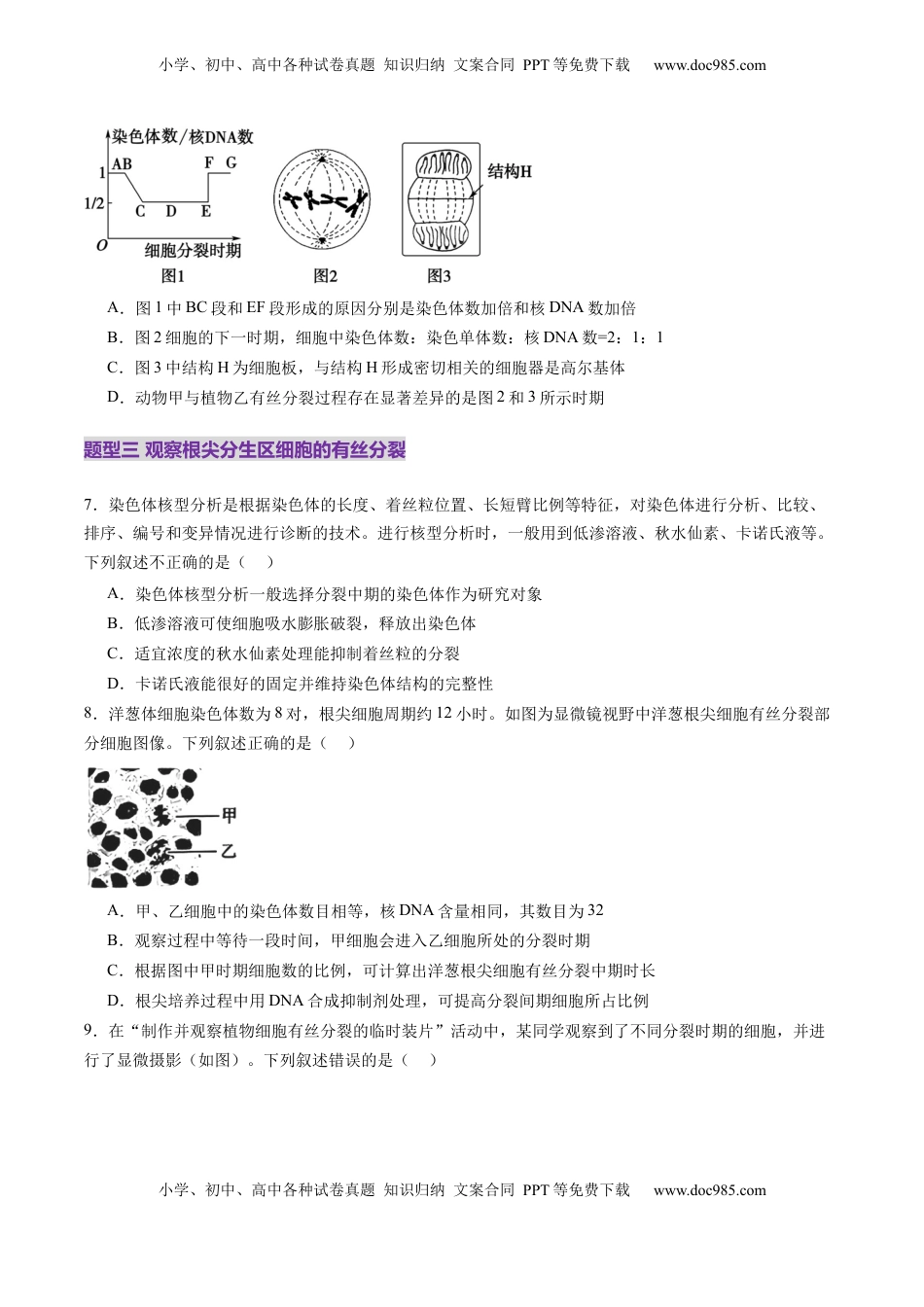 高考生物复习  第12讲 细胞增殖（练习）（原卷版）.docx