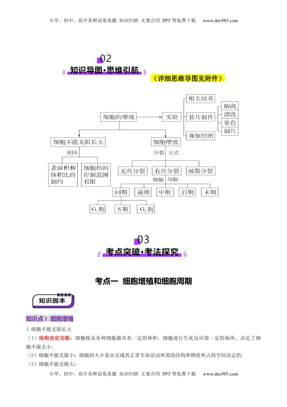 高考生物复习  第12讲 细胞增殖（讲义）（原卷版）.docx