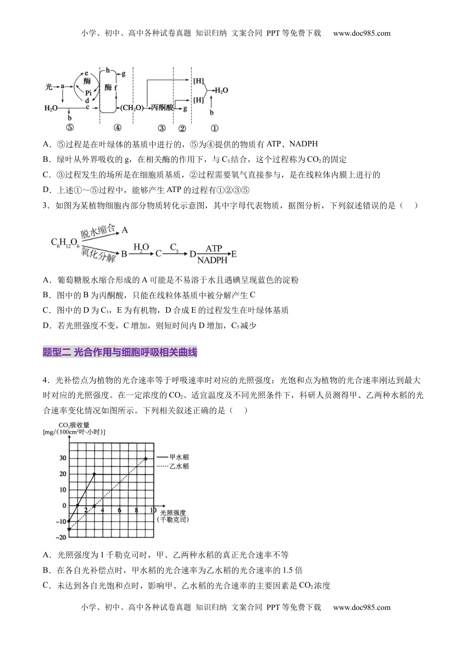 高考生物复习  第11讲 细胞代谢综合分析（练习）（原卷版）.docx