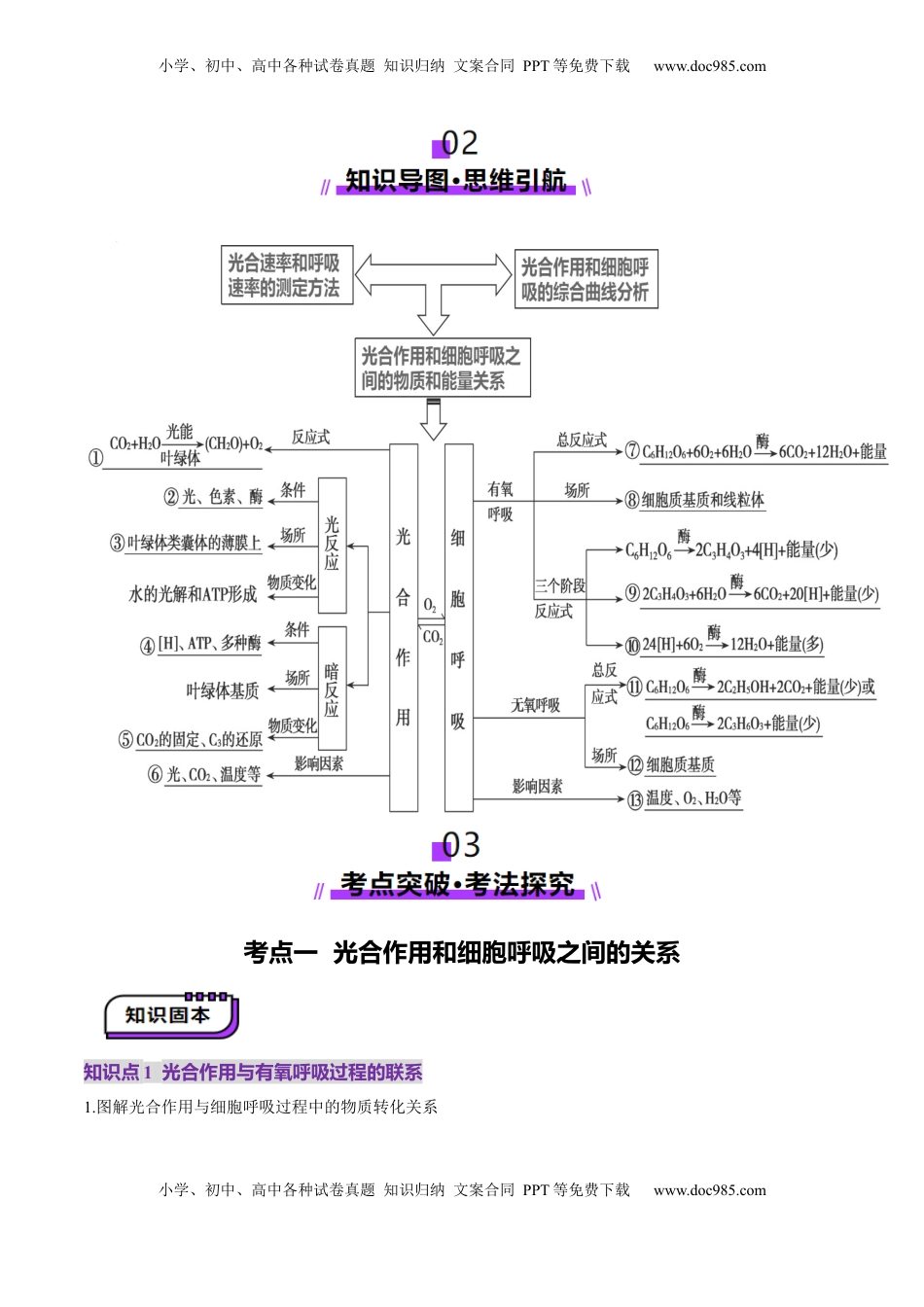 高考生物复习  第11讲 细胞代谢综合分析（讲义）（原卷版）.docx