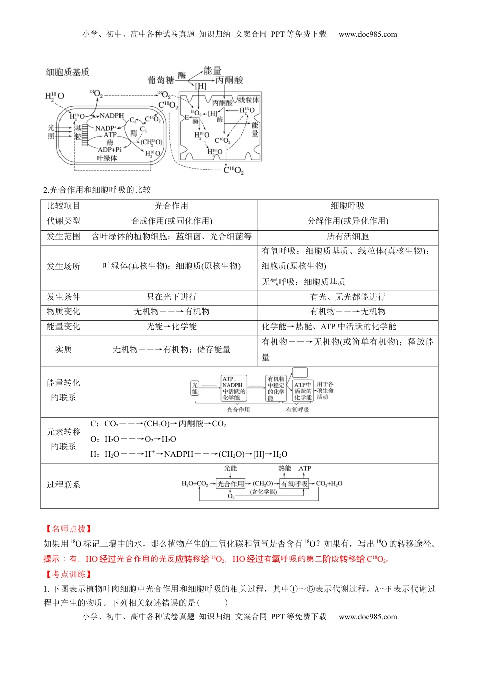 高考生物复习  第11讲 细胞代谢综合分析（讲义）（原卷版）.docx