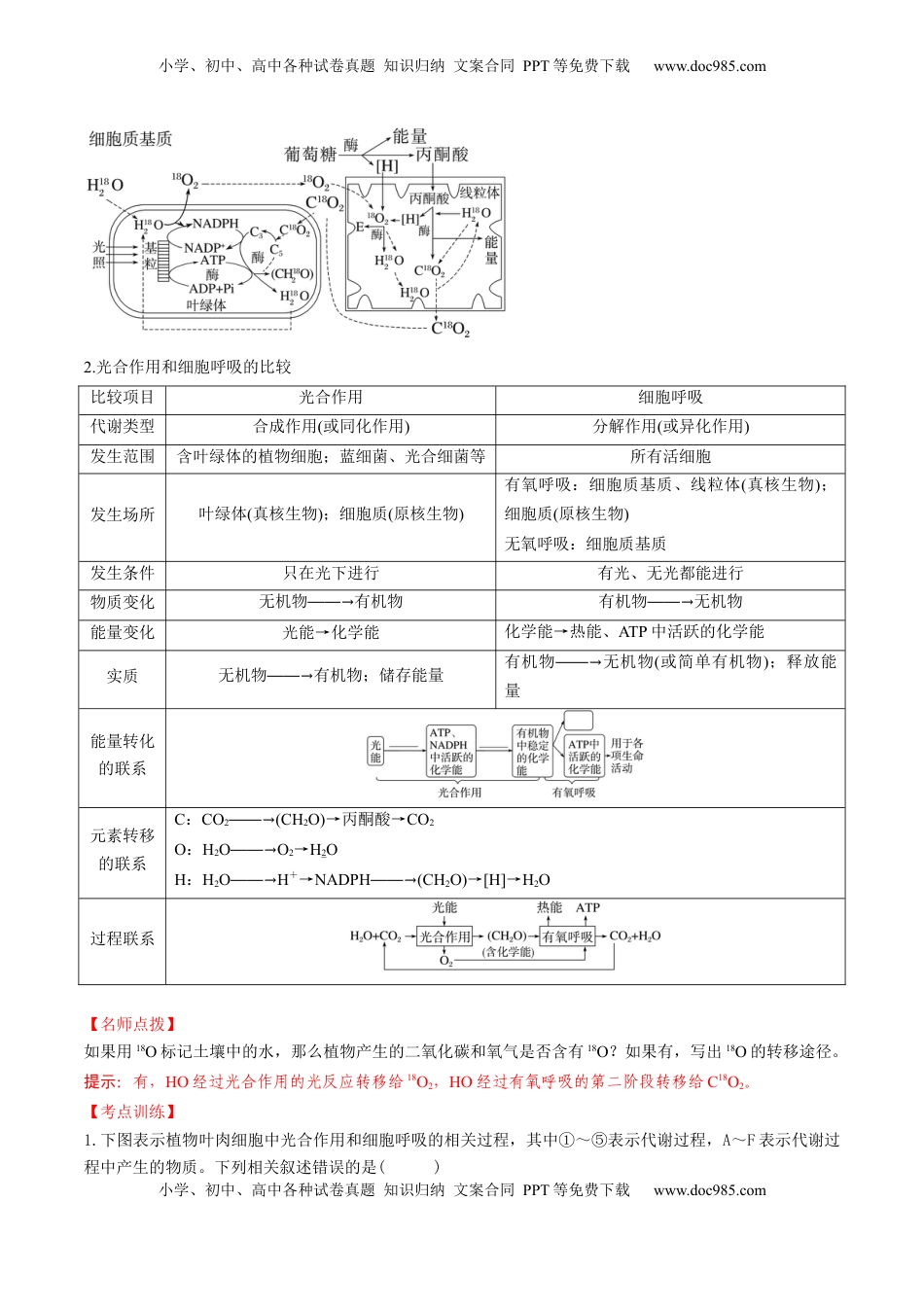 高考生物复习  第11讲 细胞代谢综合分析（讲义）（解析版）.docx