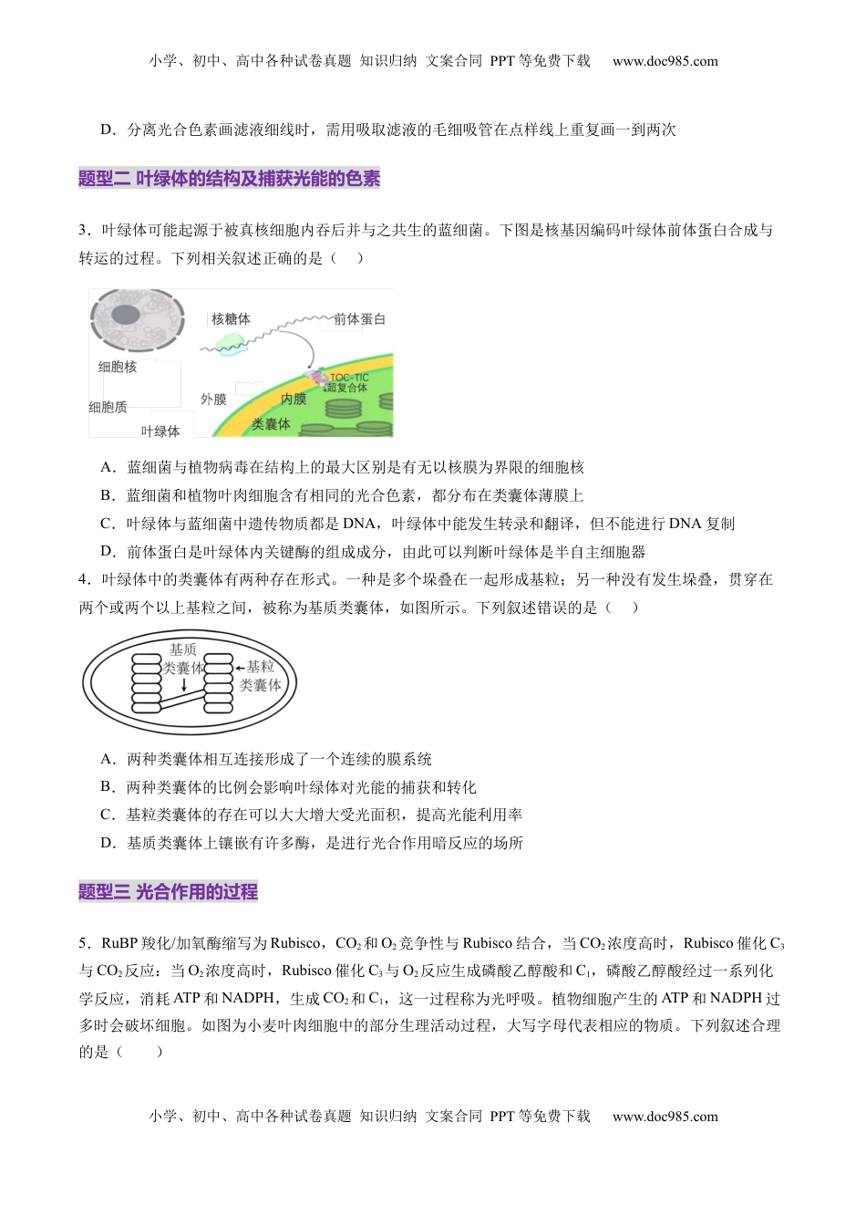 高考生物复习  第10讲 光合作用（第一课时）（练习）（原卷版）.docx