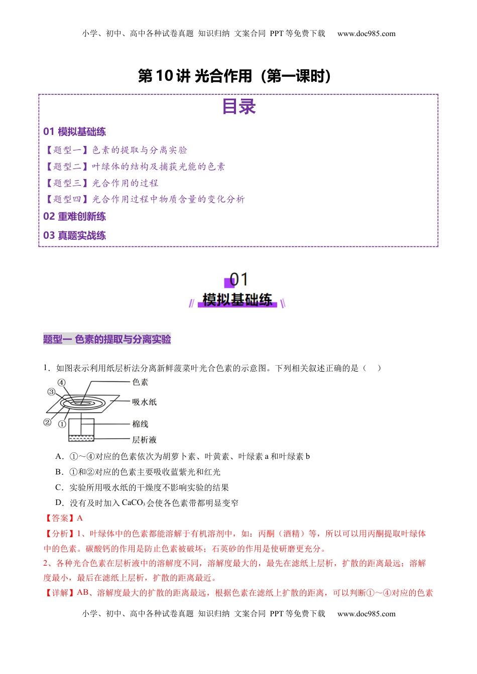 高考生物复习  第10讲 光合作用（第一课时）（练习）（解析版）.docx