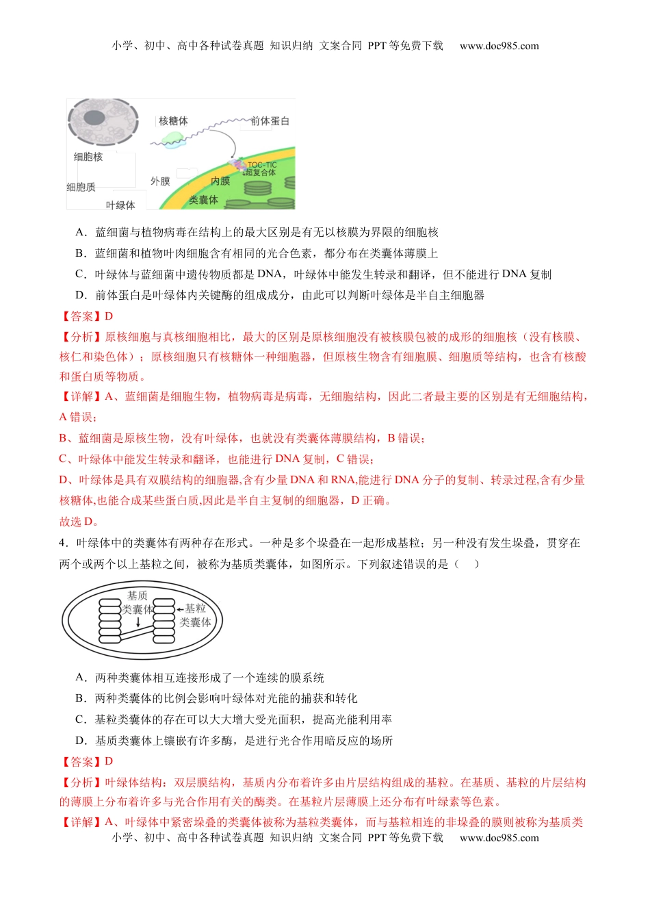 高考生物复习  第10讲 光合作用（第一课时）（练习）（解析版）.docx