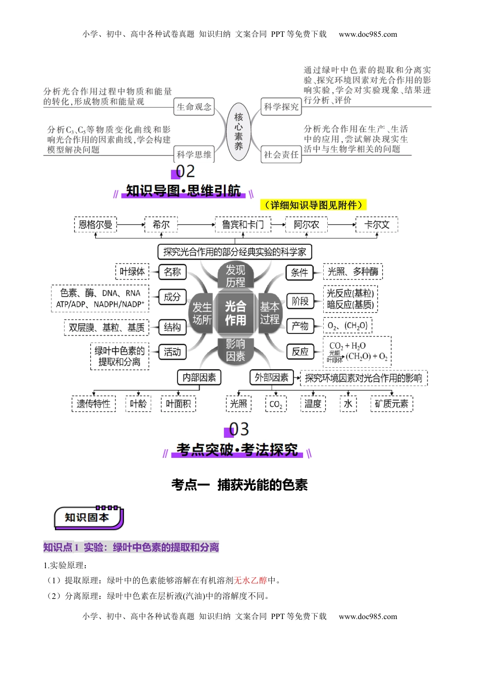 高考生物复习  第10讲 光合作用（第一课时）（讲义）（原卷版）.docx