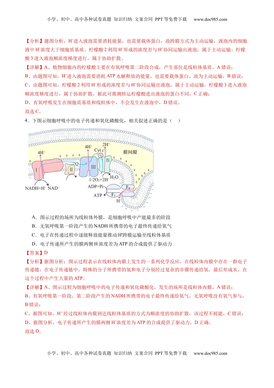 高考生物复习  第09讲 细胞呼吸（练习）（解析版）.docx