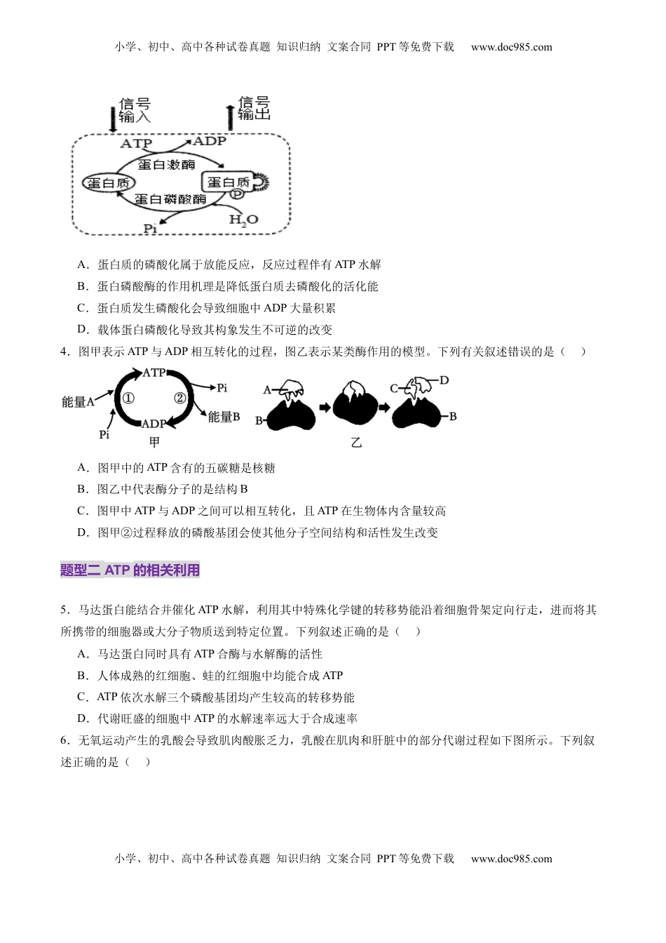 高考生物复习  第08讲 酶和ATP（第二课时）（练习）（原卷版）.docx