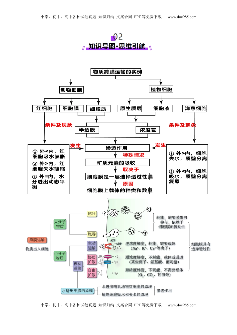高考生物复习  第07讲 物质运输（讲义）（原卷版）.docx