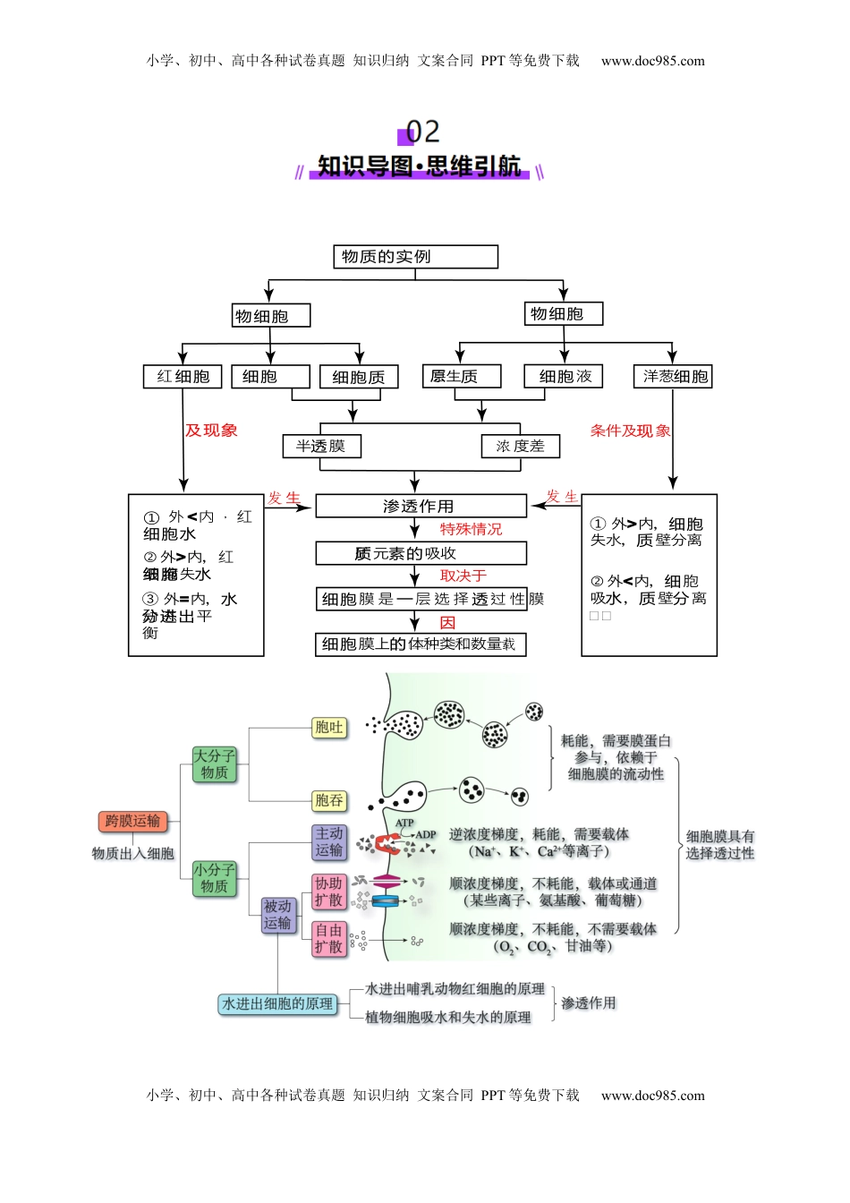 高考生物复习  第07讲 物质运输（讲义）（解析版）.docx