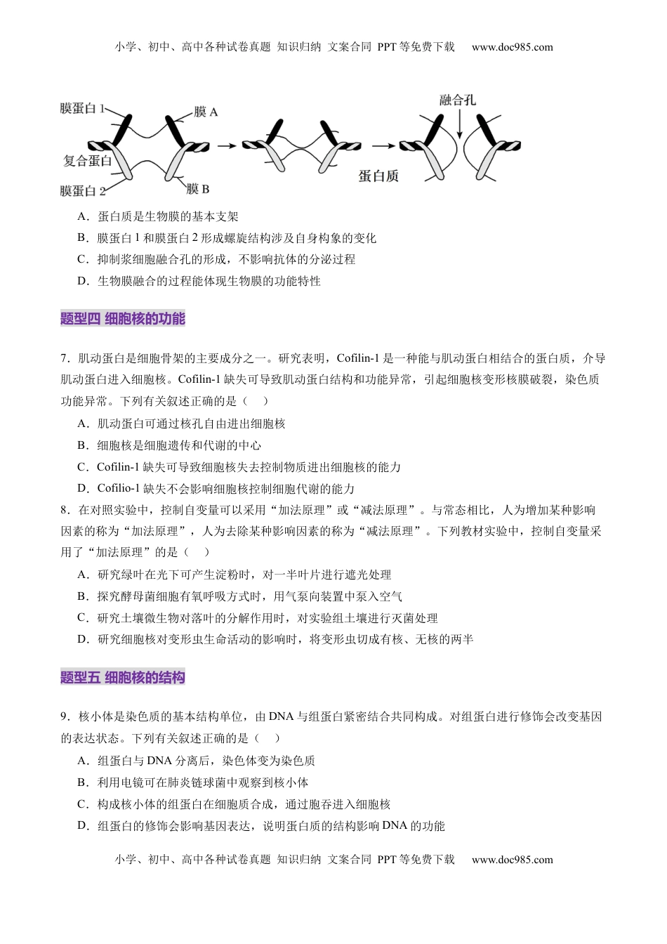 高考生物复习  第05讲 细胞膜和细胞核（练习）（原卷版）.docx