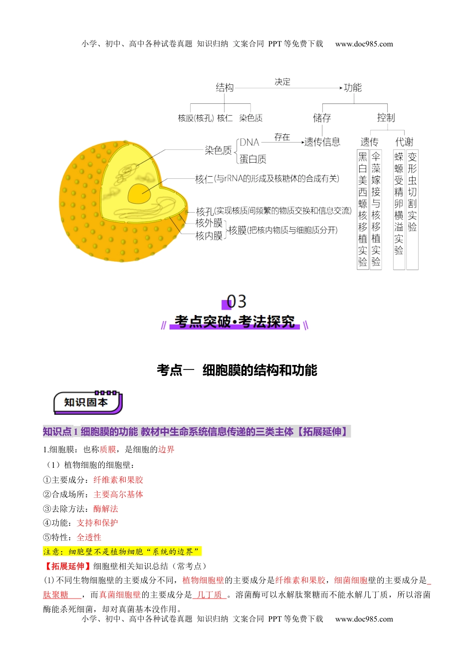 高考生物复习  第05讲 细胞膜和细胞核（讲义）（解析版）.docx