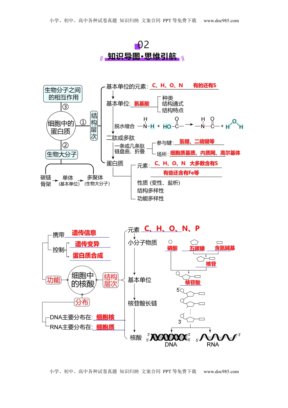 高考生物复习  第04讲 蛋白质和核酸（讲义）（原卷版）.docx