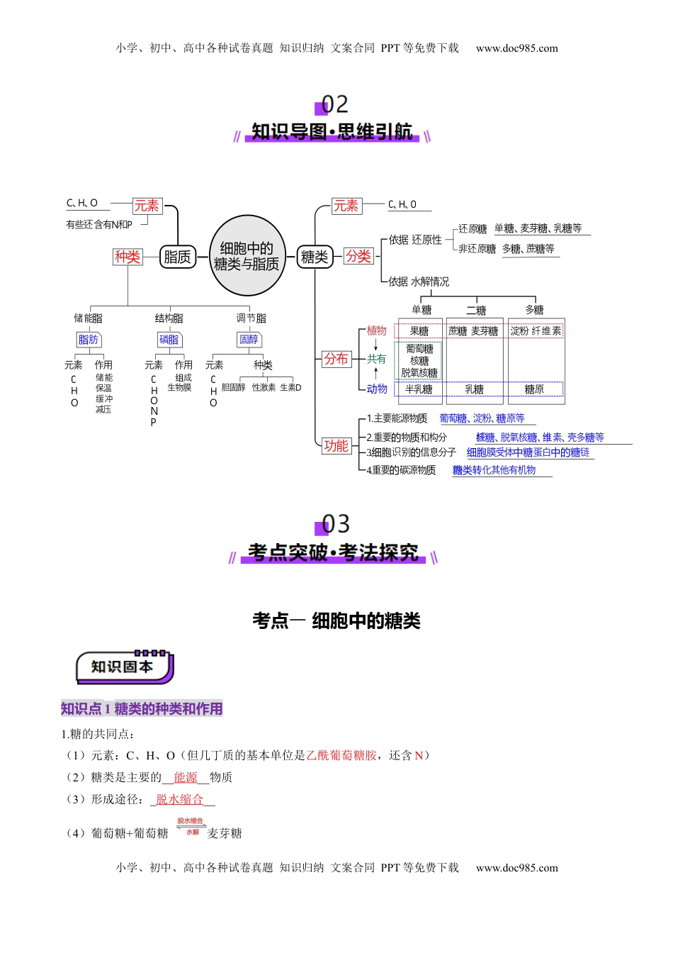 高考生物复习  第03讲 糖类和脂质（讲义）（解析版）.docx