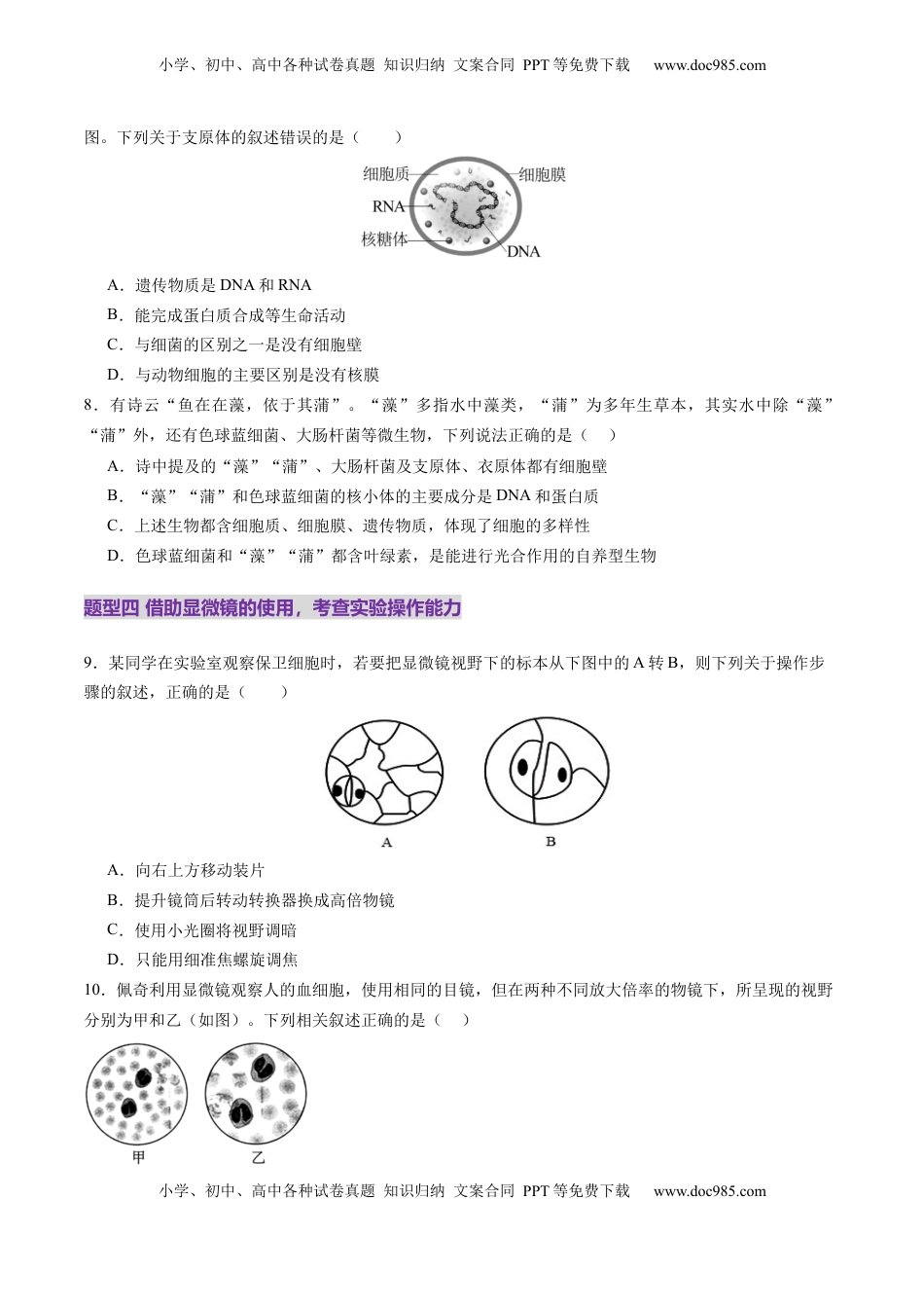 高考生物复习  第01讲 走近细胞（练习）（原卷版）.docx