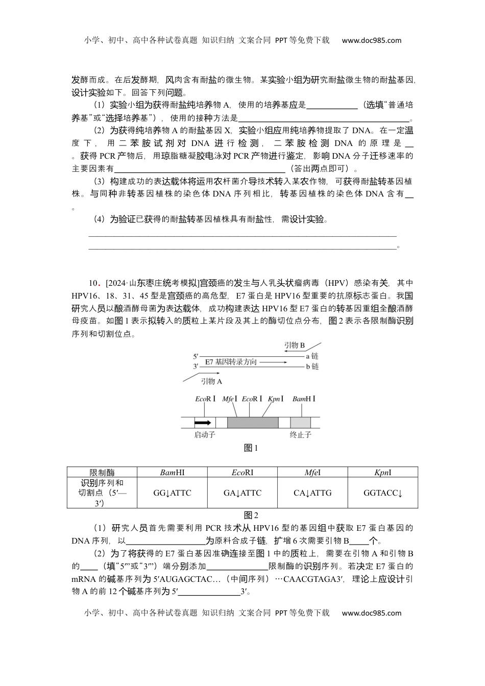 高考生物复习  2025届高中生物学一轮复习检测案43　基因工程及生物技术的安全性与伦理问题（含解析）.docx