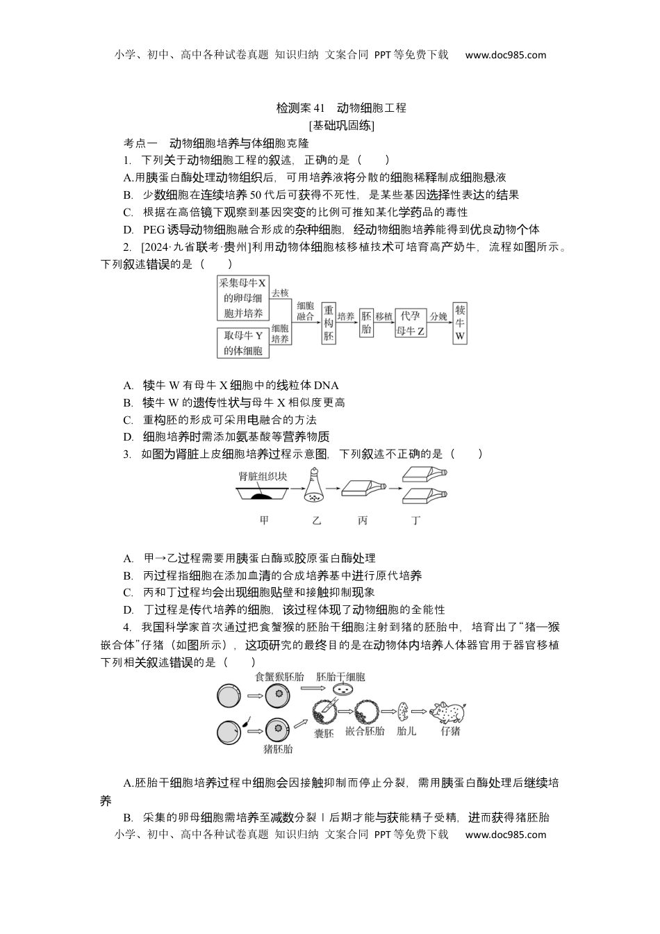 高考生物复习  2025届高中生物学一轮复习检测案41　动物细胞工程（含解析）.docx