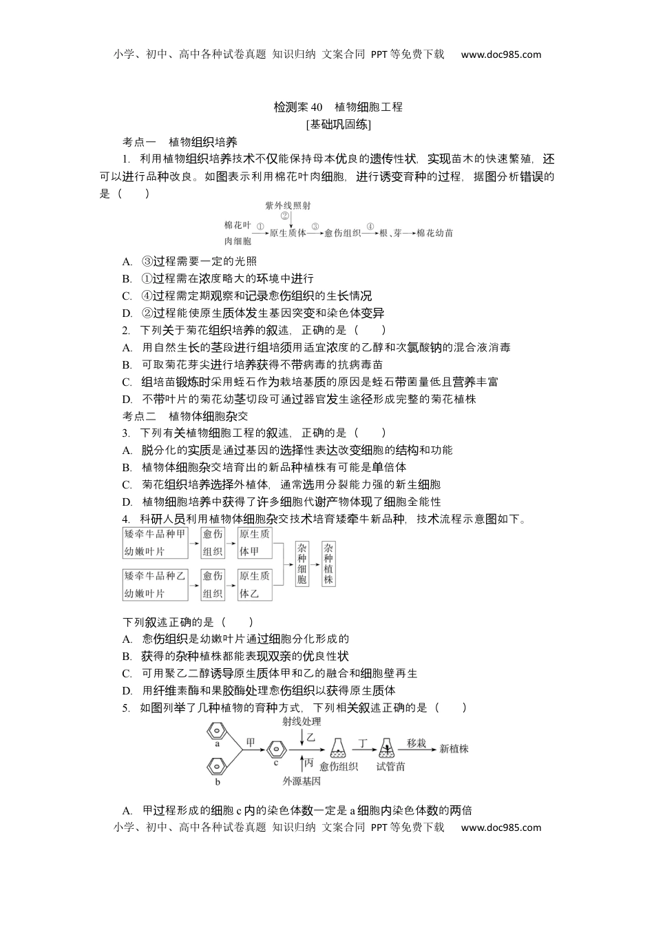 高考生物复习  2025届高中生物学一轮复习检测案40　植物细胞工程（含解析）.docx