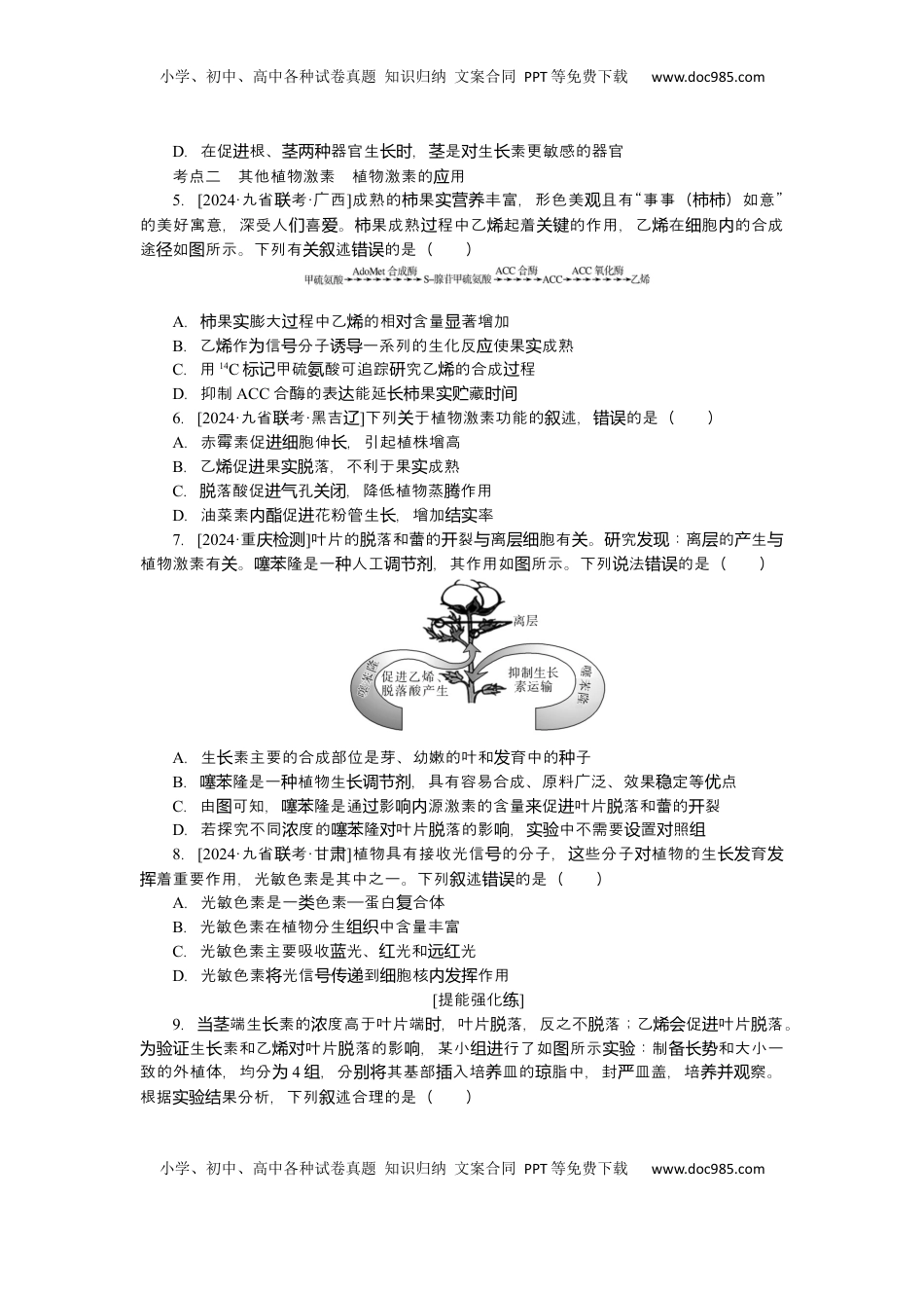 高考生物复习  2025届高中生物学一轮复习检测案31　植物的激素调节（一）（含解析）.docx