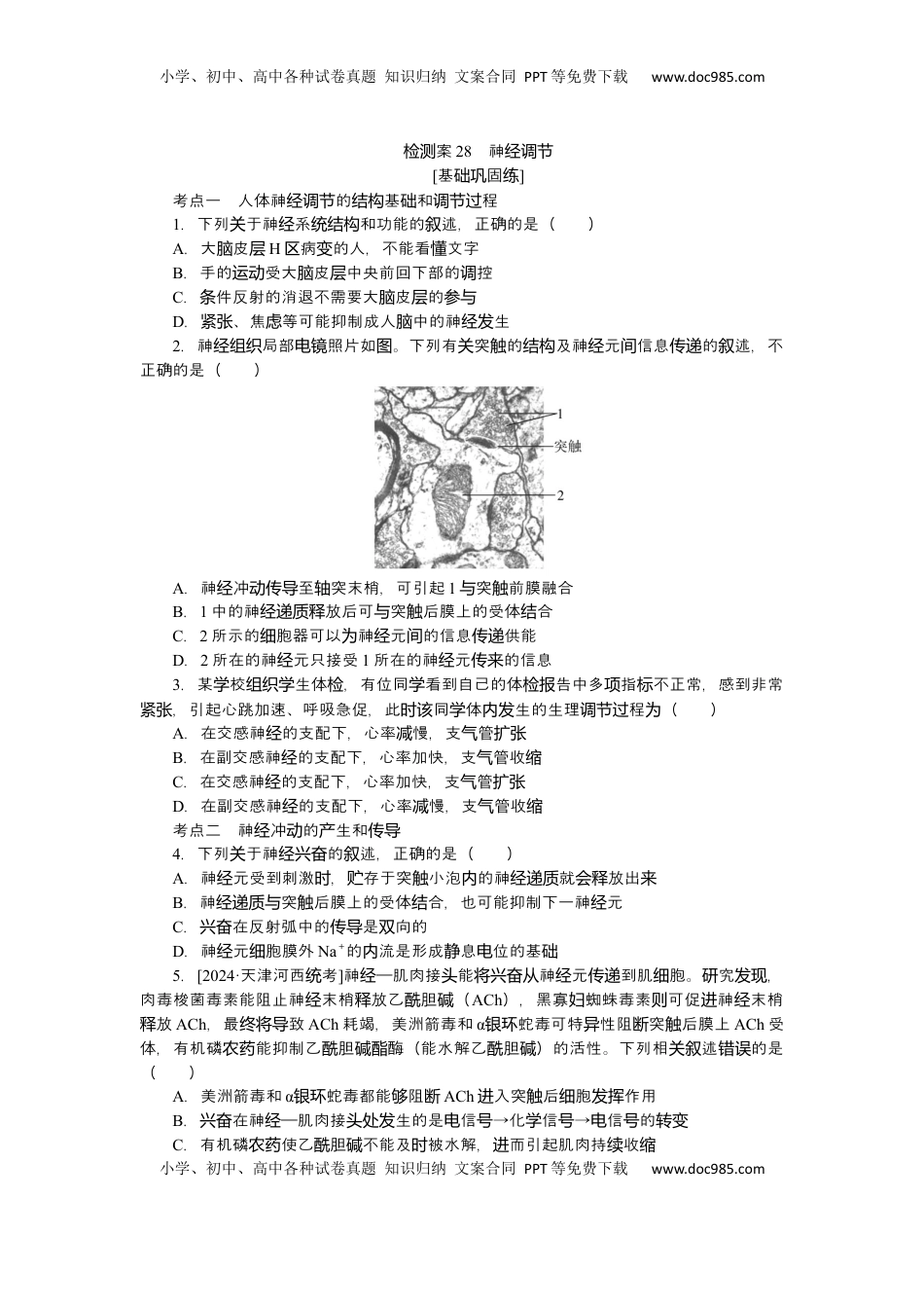 高考生物复习  2025届高中生物学一轮复习检测案28　神经调节（含解析）.docx
