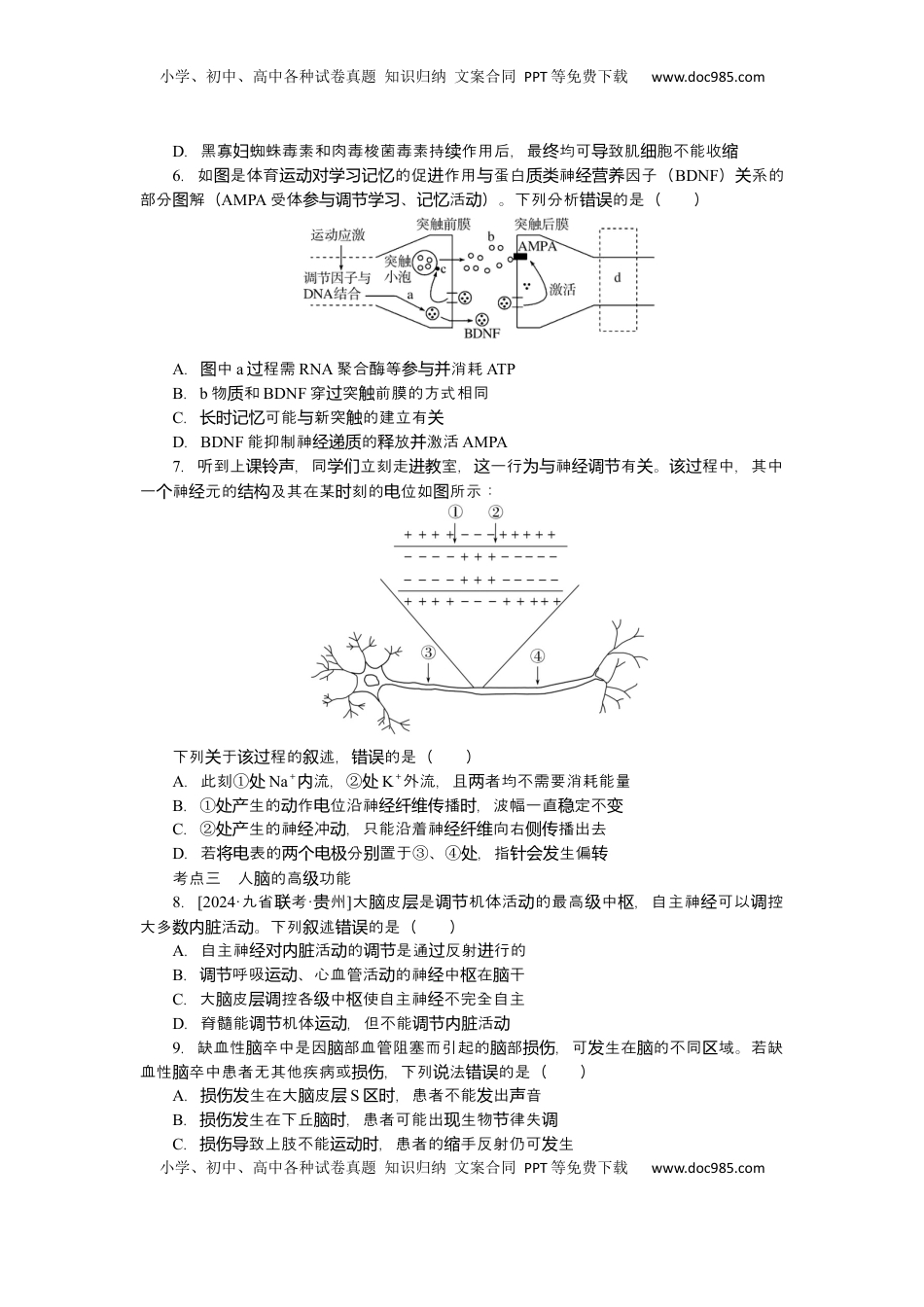 高考生物复习  2025届高中生物学一轮复习检测案28　神经调节（含解析）.docx