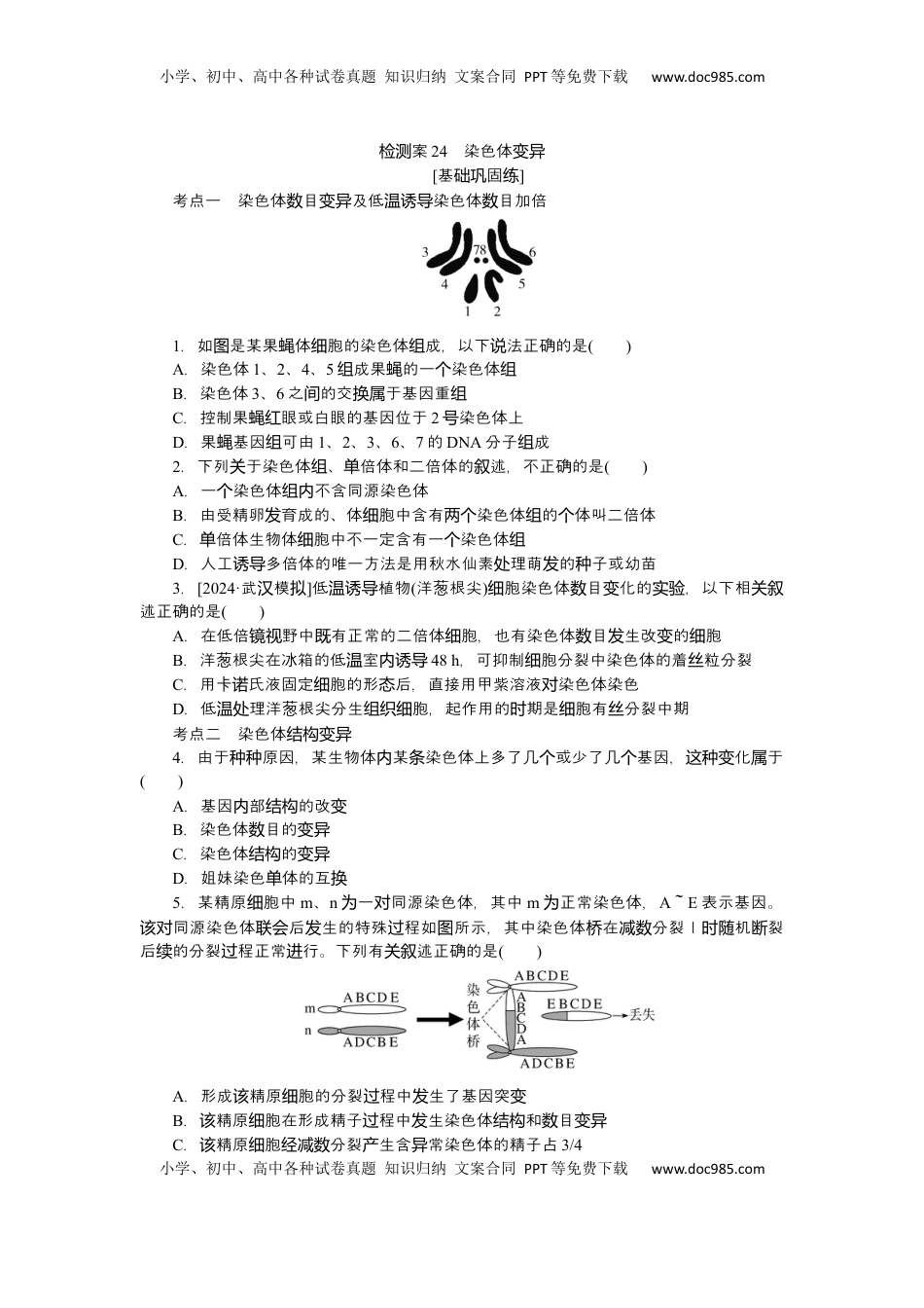 高考生物复习  2025届高中生物学一轮复习检测案24　染色体变异（含解析）.docx