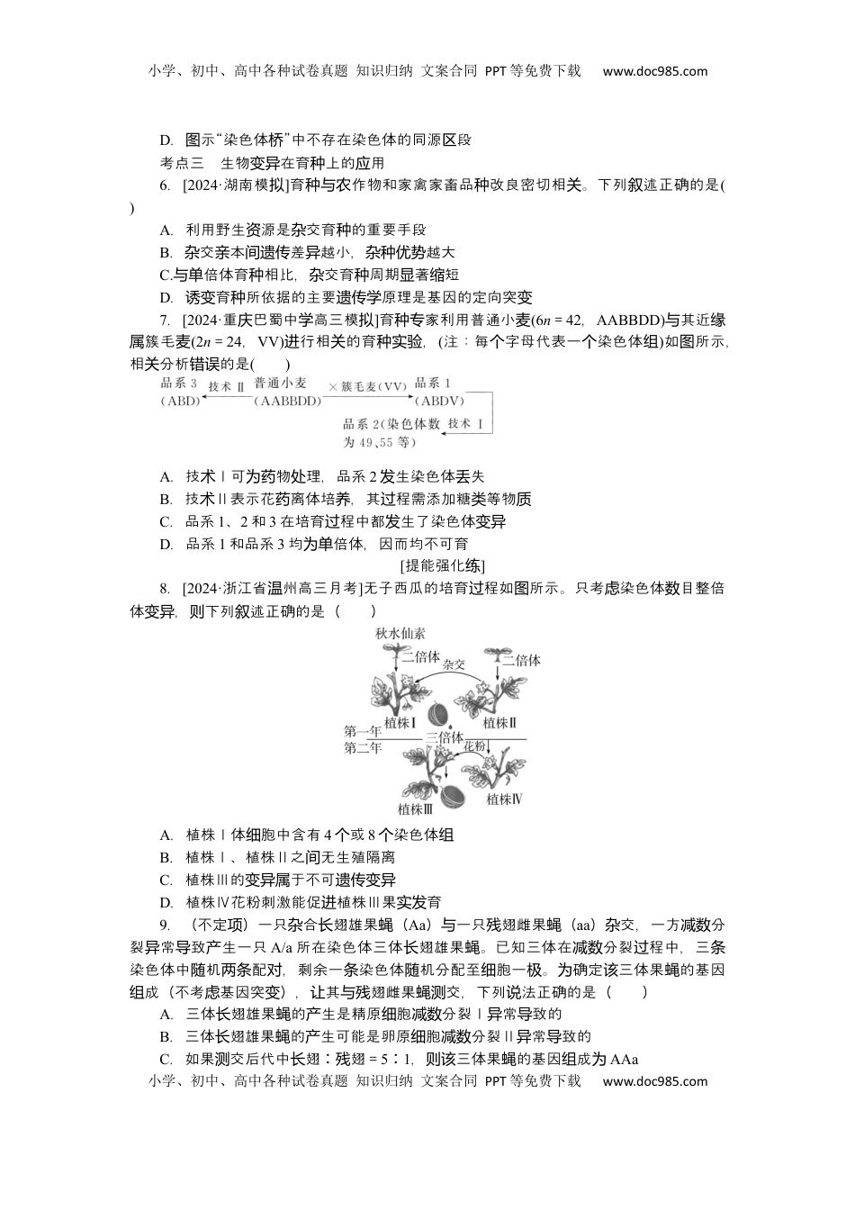 高考生物复习  2025届高中生物学一轮复习检测案24　染色体变异（含解析）.docx