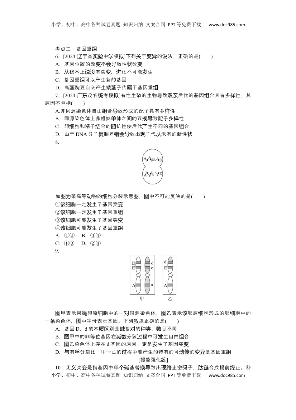 高考生物复习  2025届高中生物学一轮复习检测案23　基因突变与基因重组（含解析）.docx