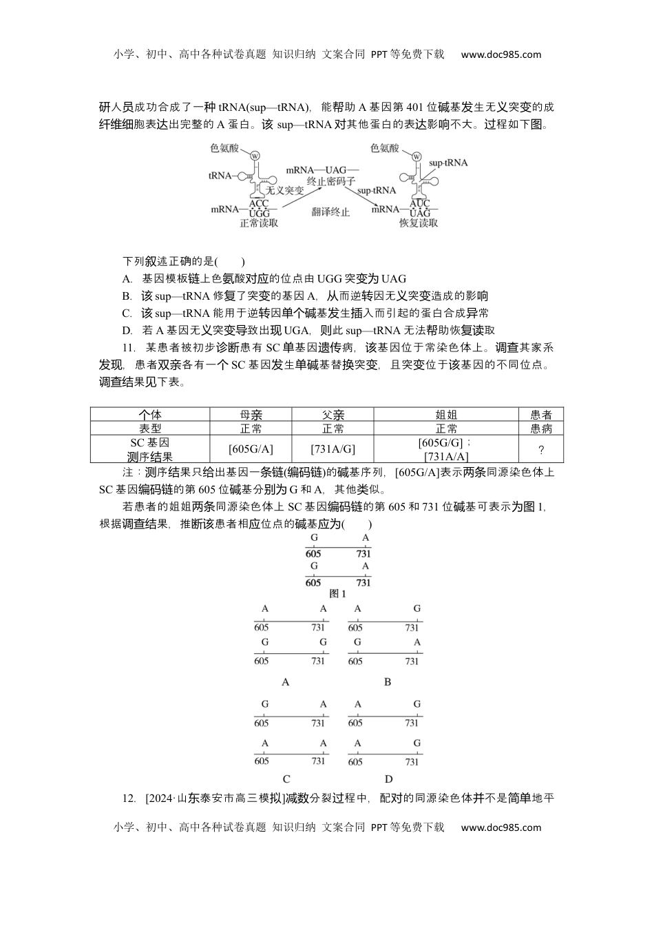 高考生物复习  2025届高中生物学一轮复习检测案23　基因突变与基因重组（含解析）.docx