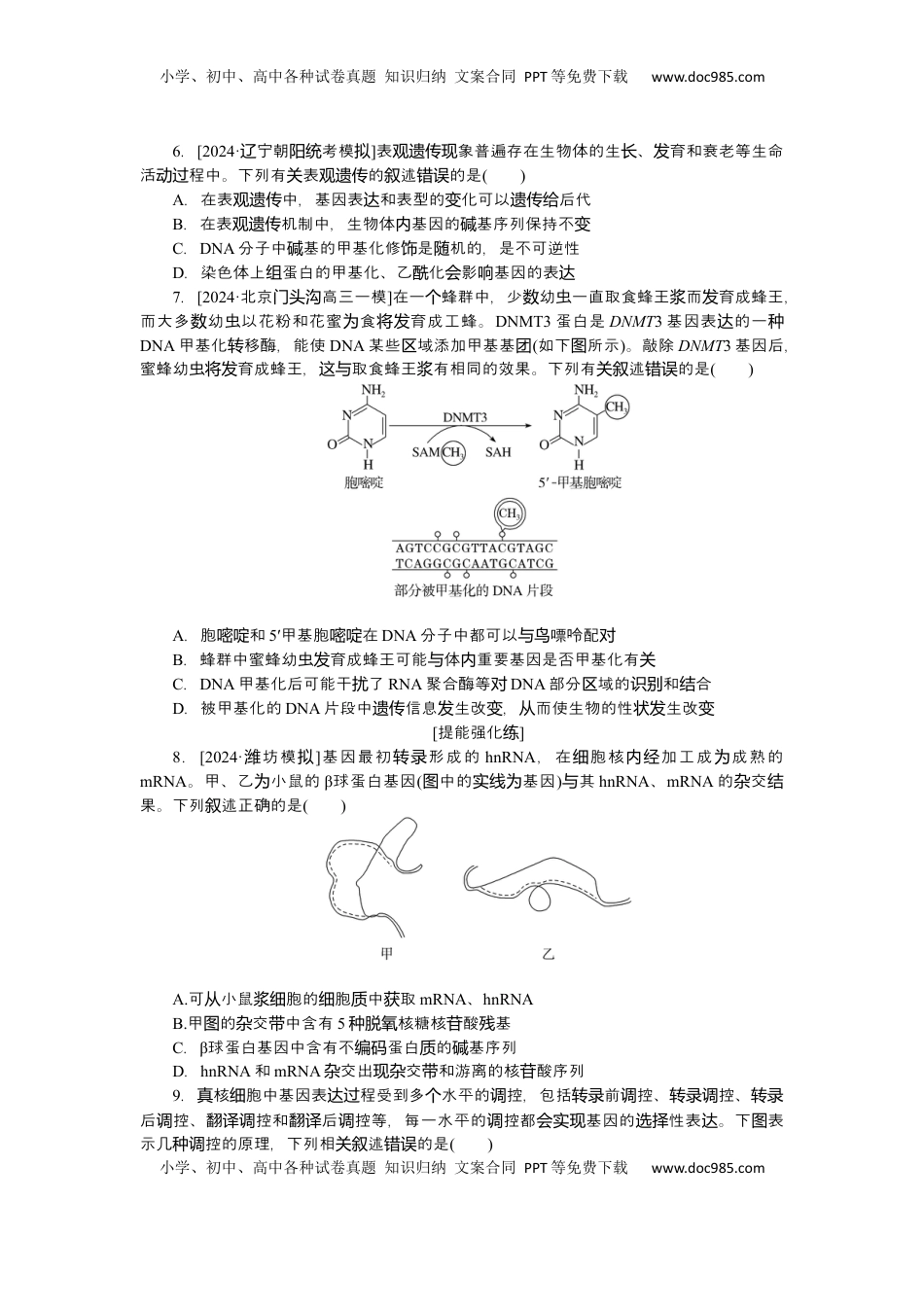 高考生物复习  2025届高中生物学一轮复习检测案22　基因指导蛋白质的合成及其与性状的关系（含解析）.docx