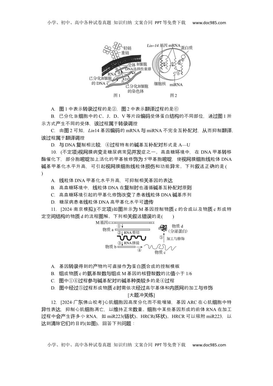 高考生物复习  2025届高中生物学一轮复习检测案22　基因指导蛋白质的合成及其与性状的关系（含解析）.docx