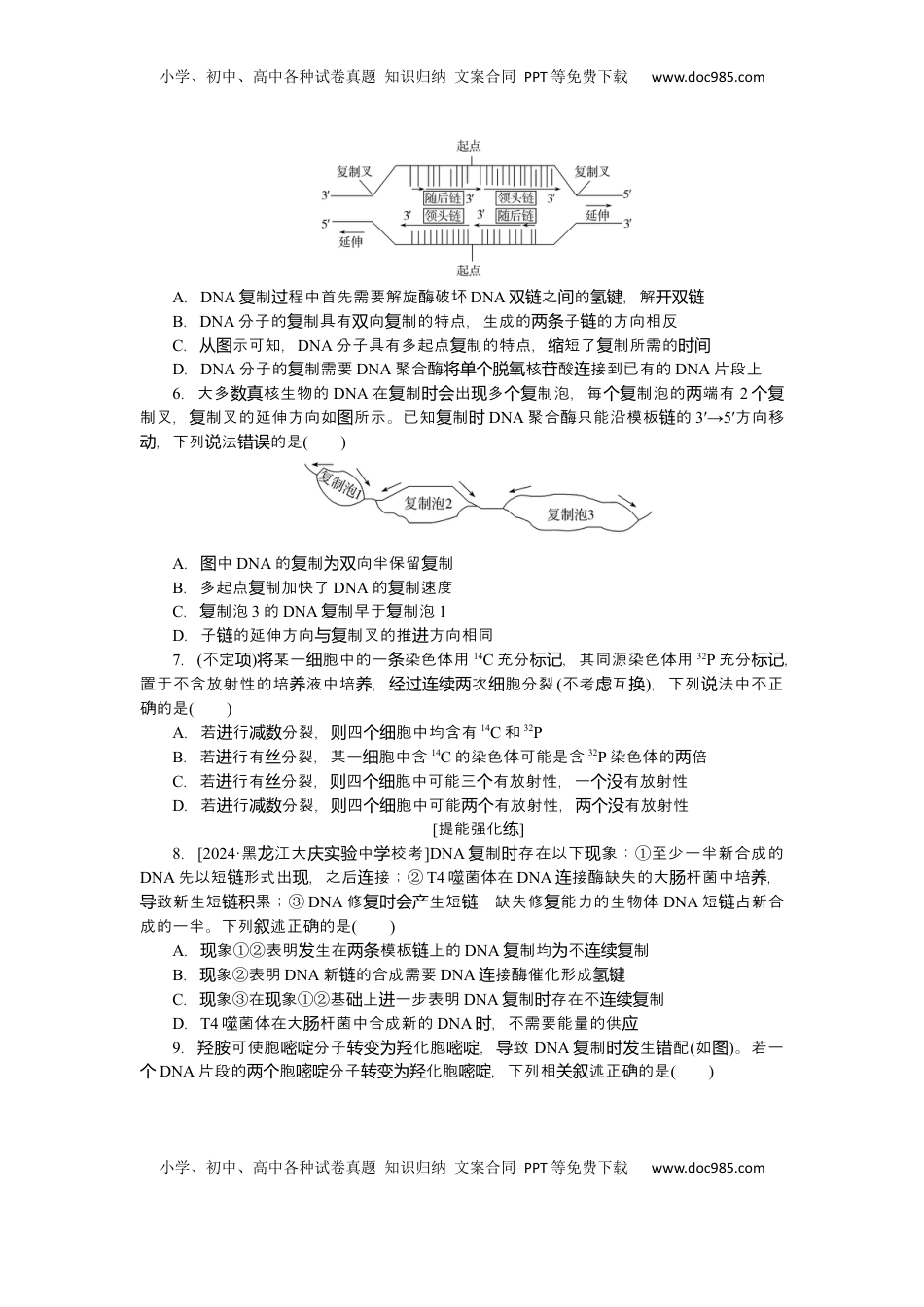 高考生物复习  2025届高中生物学一轮复习检测案21　DNA的结构、复制及基因（含解析）.docx
