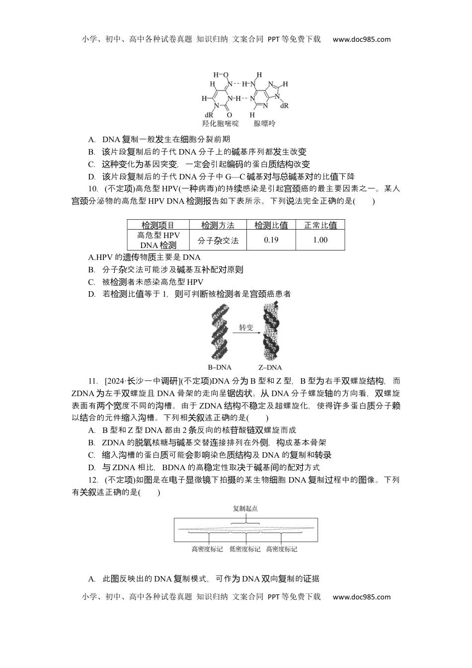 高考生物复习  2025届高中生物学一轮复习检测案21　DNA的结构、复制及基因（含解析）.docx