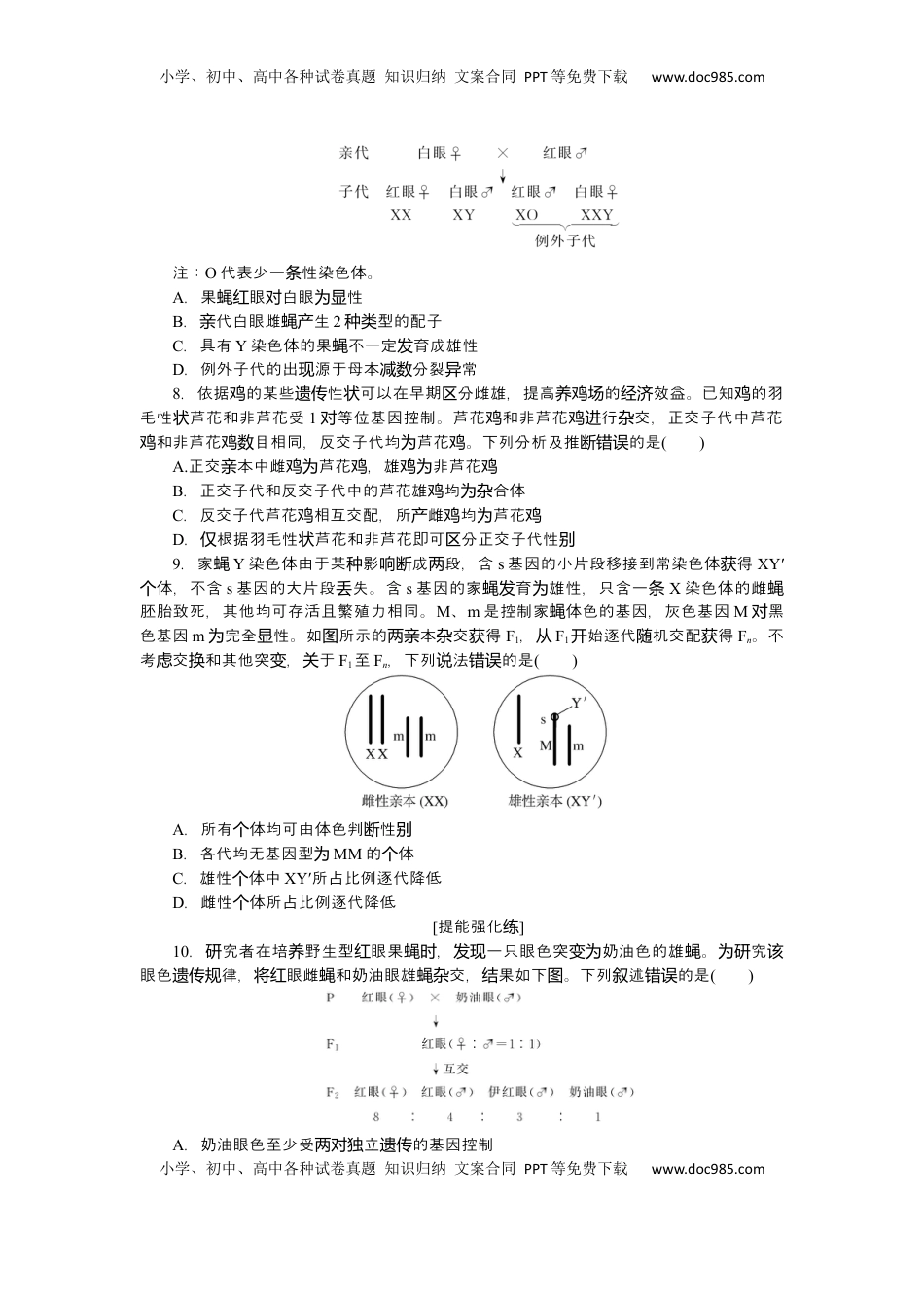高考生物复习  2025届高中生物学一轮复习检测案19　基因在染色体上、伴性遗传（含解析）.docx