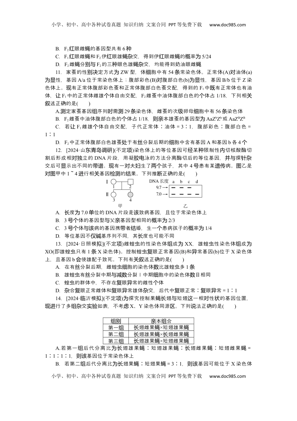 高考生物复习  2025届高中生物学一轮复习检测案19　基因在染色体上、伴性遗传（含解析）.docx