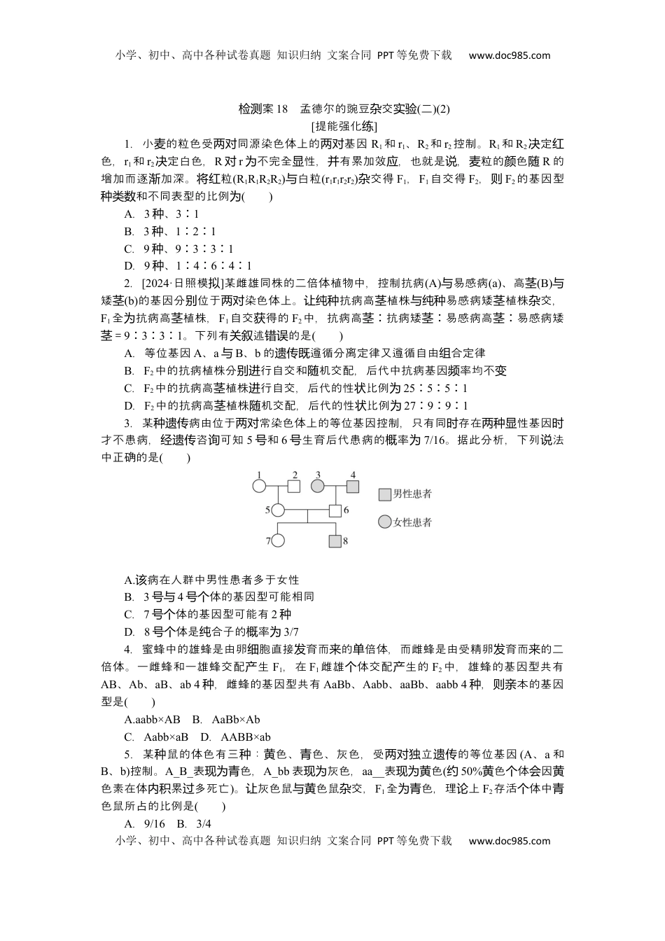高考生物复习  2025届高中生物学一轮复习检测案18　孟德尔的豌豆杂交实验(二)(2)（含解析）.docx