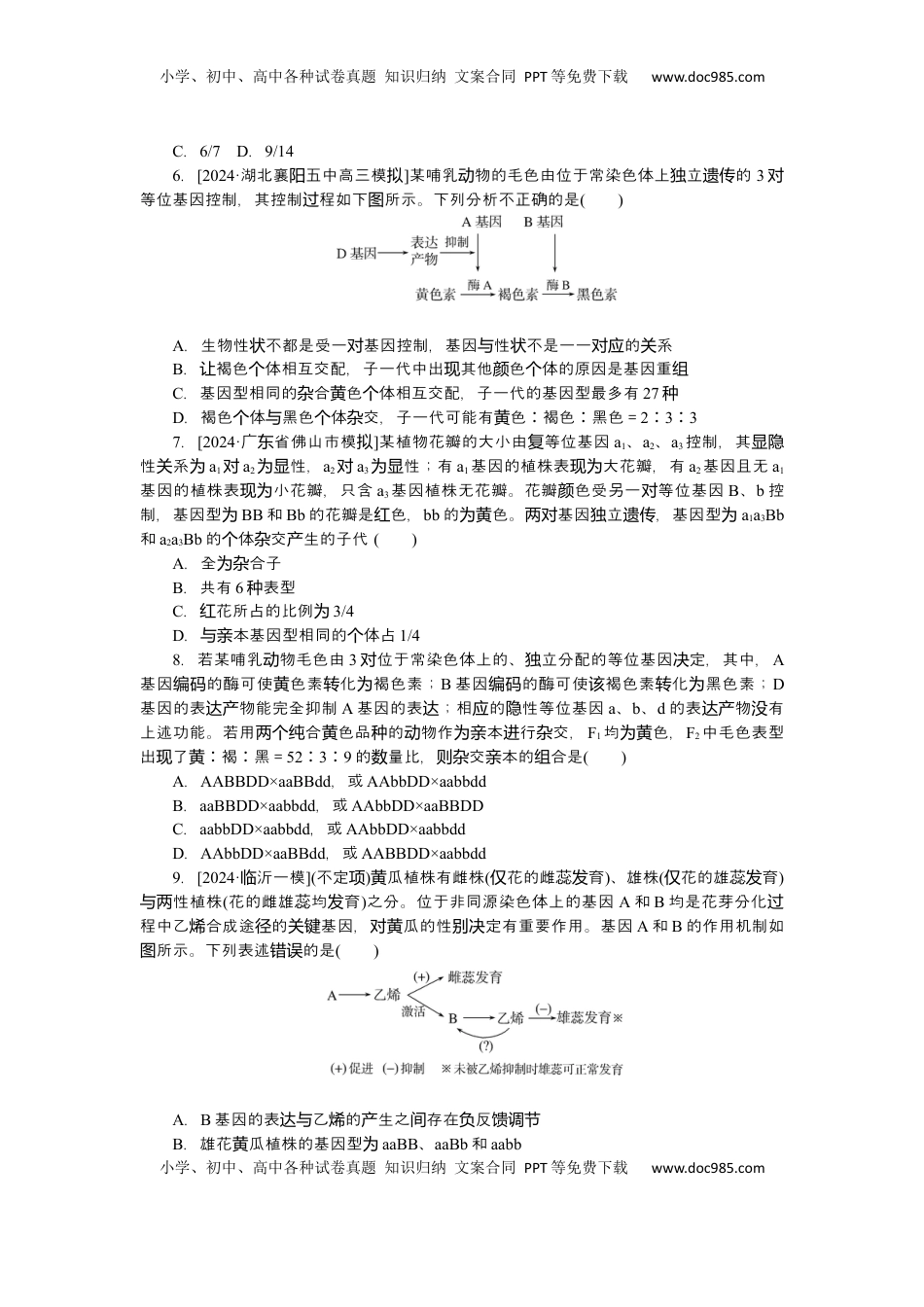 高考生物复习  2025届高中生物学一轮复习检测案18　孟德尔的豌豆杂交实验(二)(2)（含解析）.docx