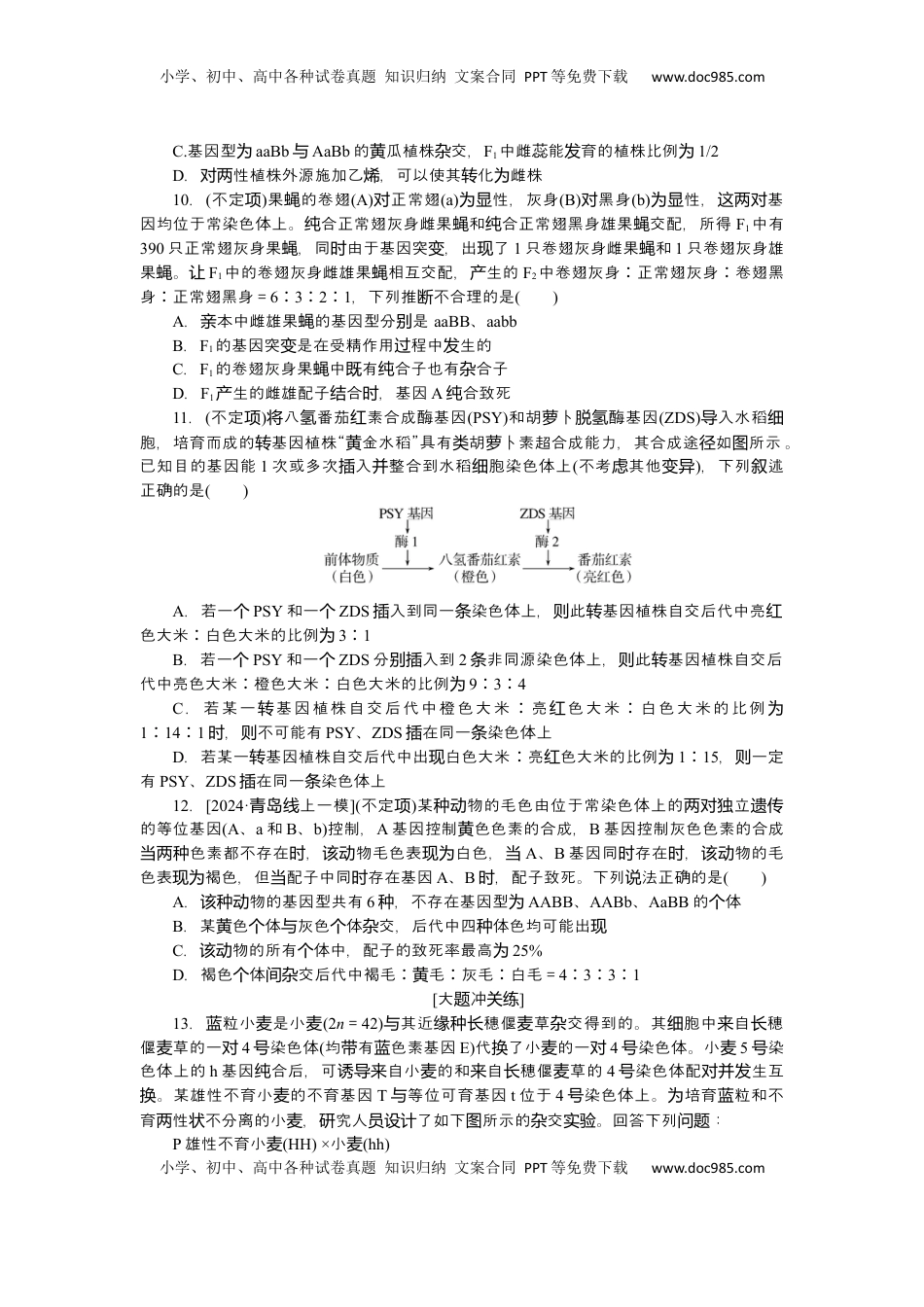 高考生物复习  2025届高中生物学一轮复习检测案18　孟德尔的豌豆杂交实验(二)(2)（含解析）.docx
