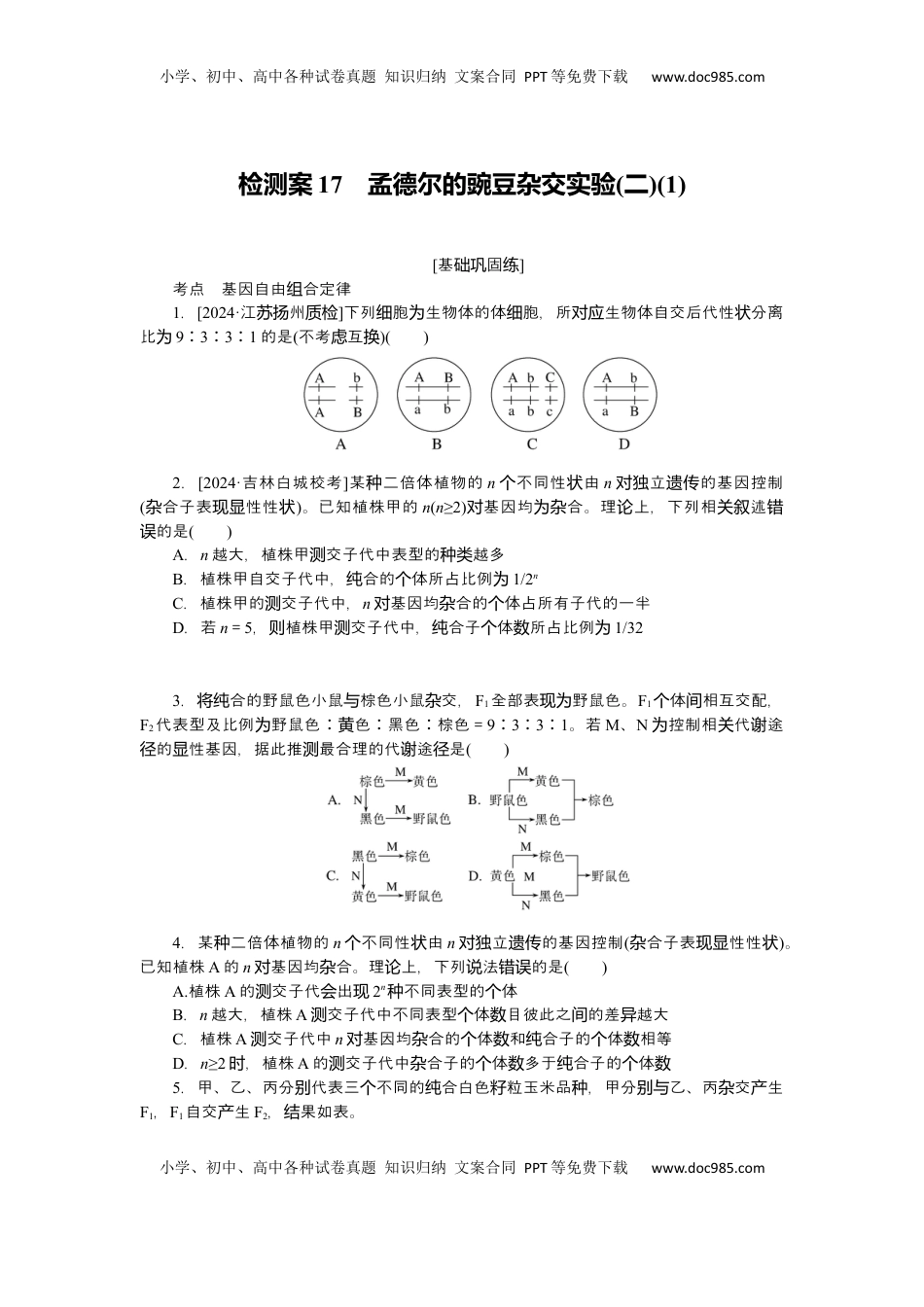 高考生物复习  2025届高中生物学一轮复习检测案17　孟德尔的豌豆杂交实验(二)(1)（含解析）.docx