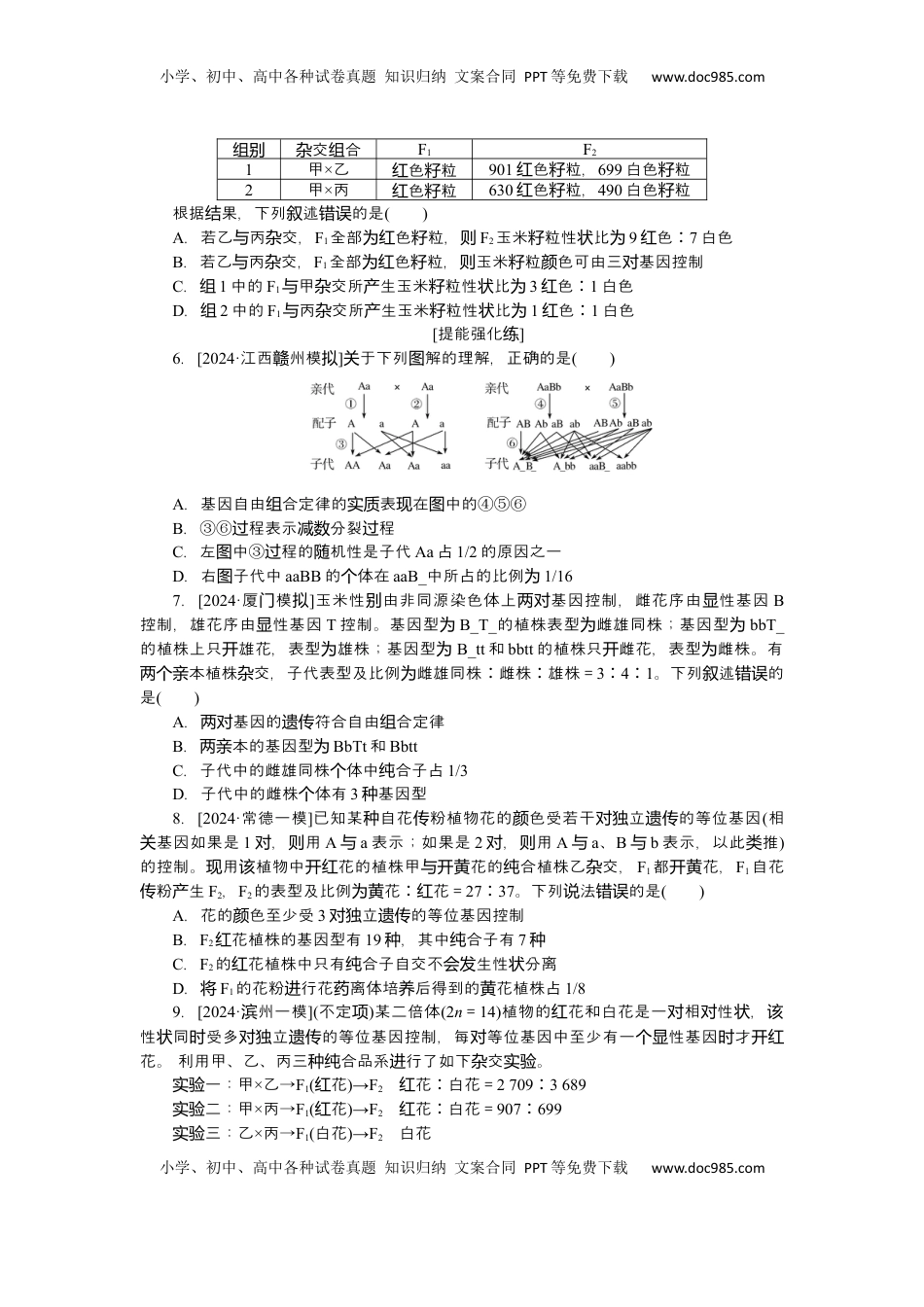 高考生物复习  2025届高中生物学一轮复习检测案17　孟德尔的豌豆杂交实验(二)(1)（含解析）.docx
