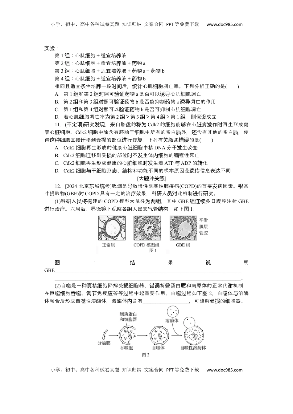 高考生物复习  2025届高中生物学一轮复习检测案15　细胞的分化、衰老和死亡（含解析）.docx