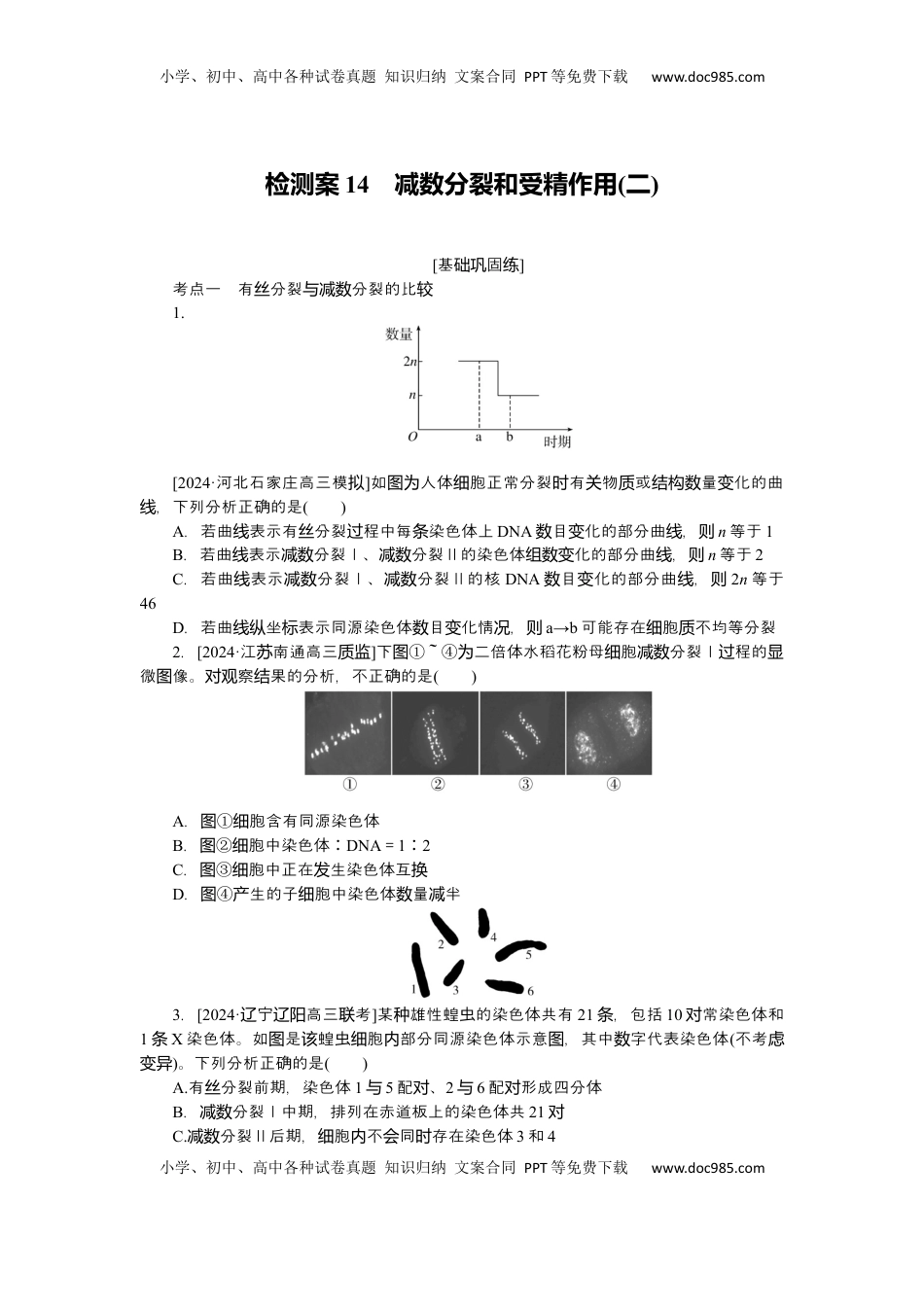 高考生物复习  2025届高中生物学一轮复习检测案14　减数分裂和受精作用(二)（含解析）.docx