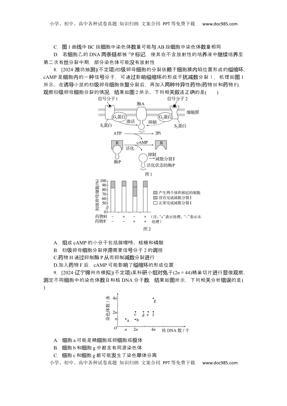 高考生物复习  2025届高中生物学一轮复习检测案14　减数分裂和受精作用(二)（含解析）.docx