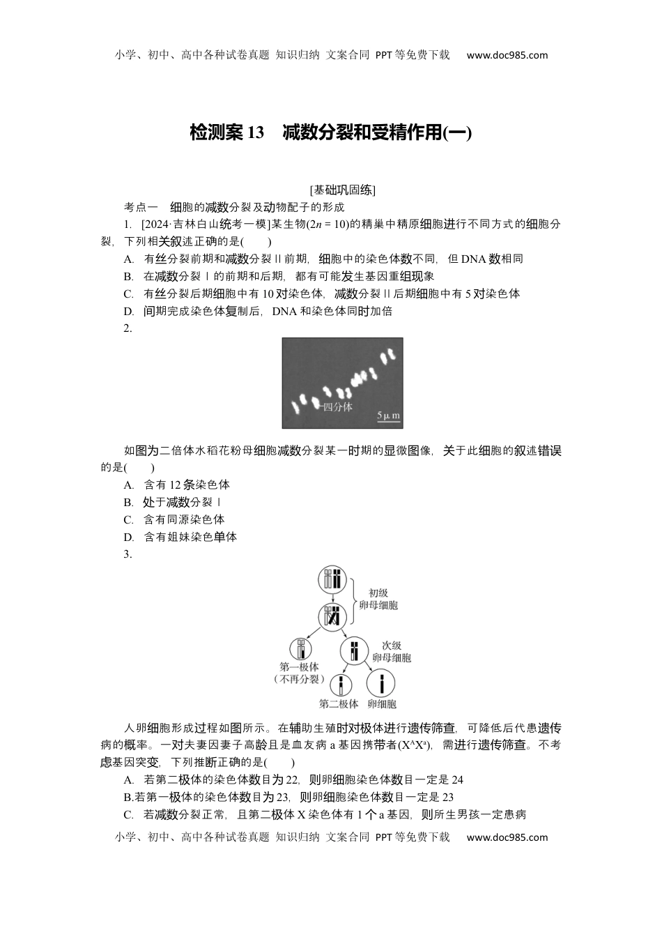 高考生物复习  2025届高中生物学一轮复习检测案13　减数分裂和受精作用(一)（含解析）.docx