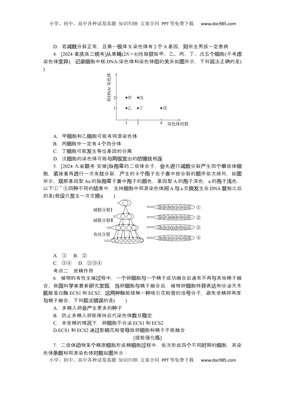 高考生物复习  2025届高中生物学一轮复习检测案13　减数分裂和受精作用(一)（含解析）.docx