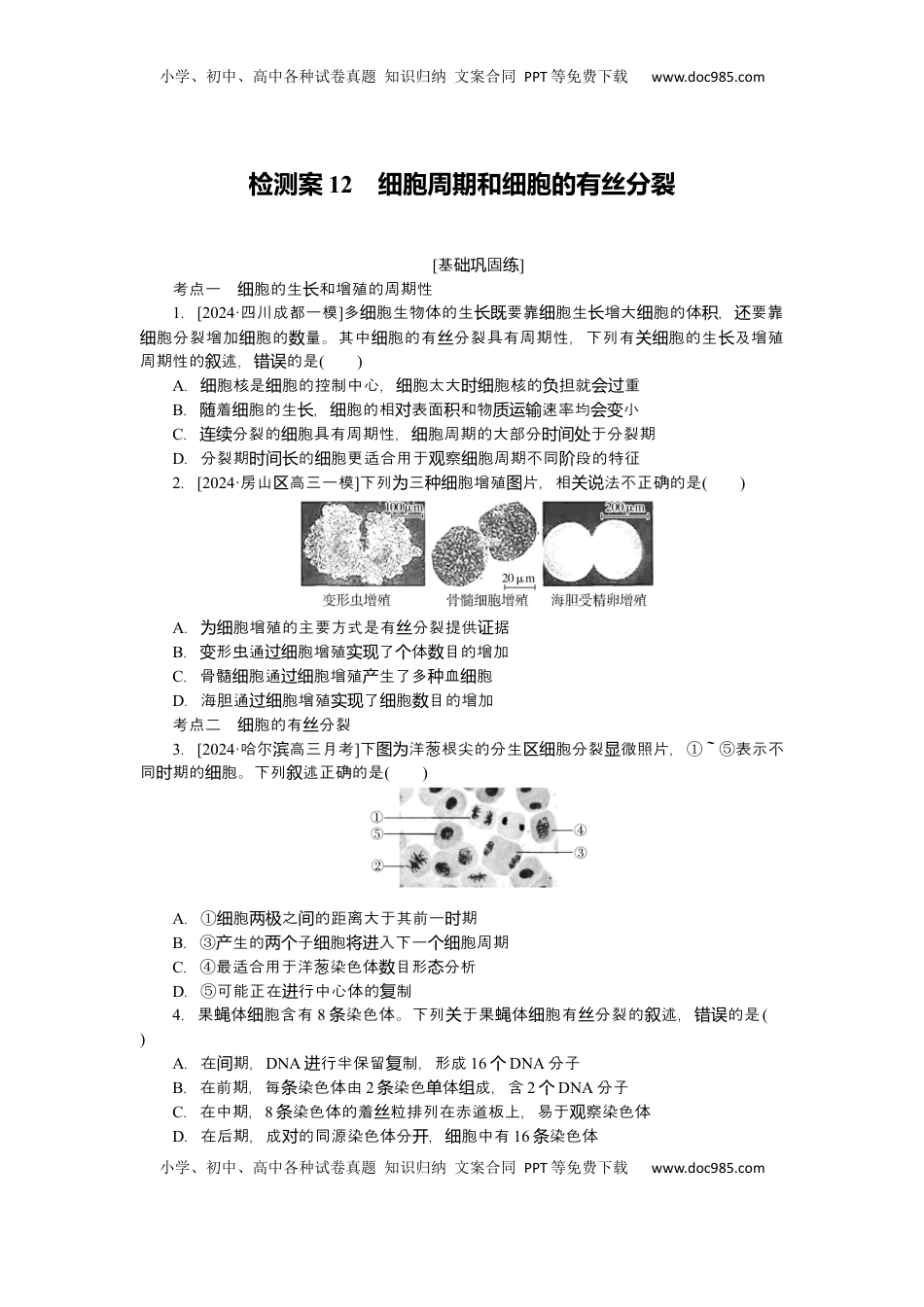 高考生物复习  2025届高中生物学一轮复习检测案12　细胞周期和细胞的有丝分裂（含解析）.docx