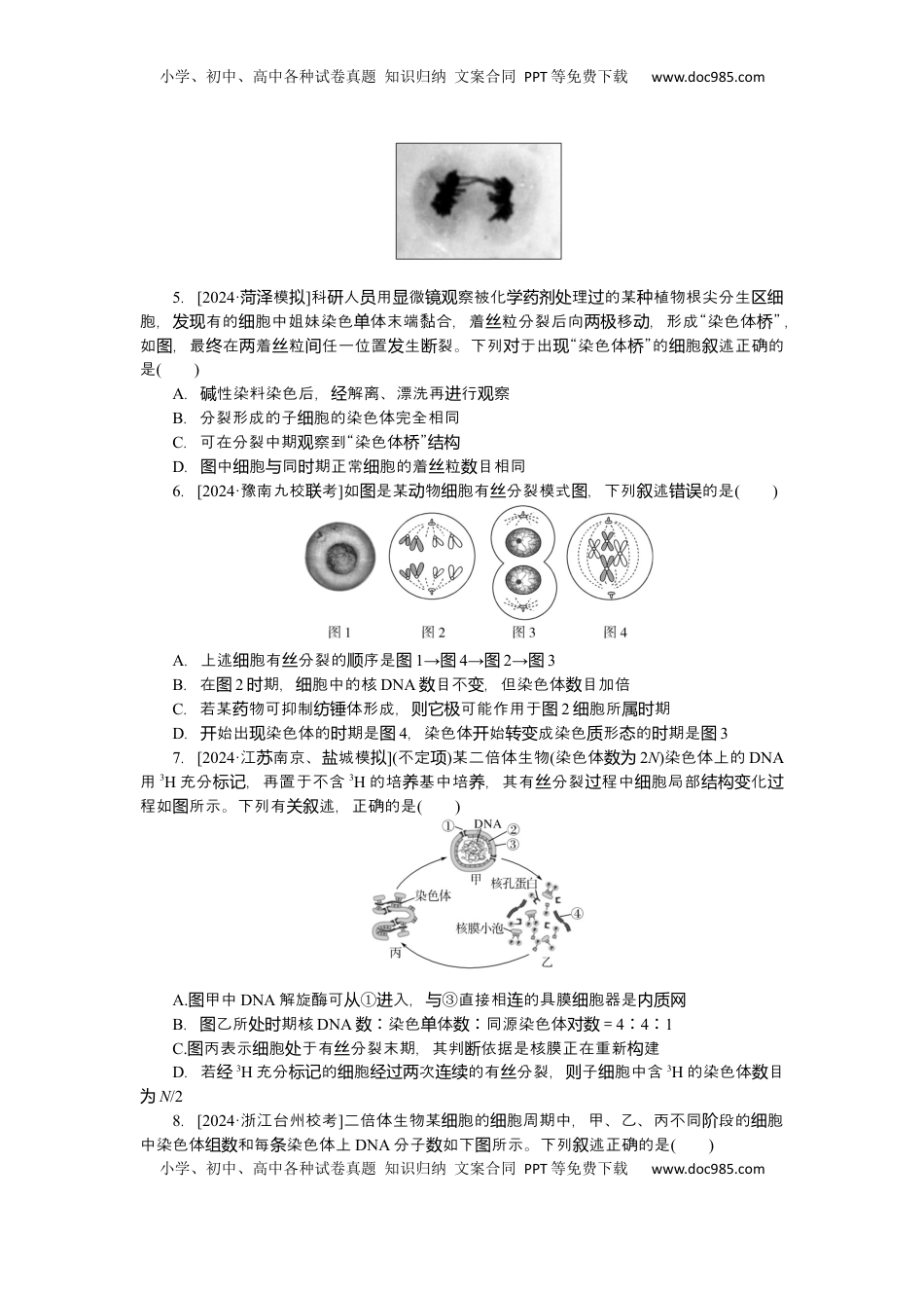 高考生物复习  2025届高中生物学一轮复习检测案12　细胞周期和细胞的有丝分裂（含解析）.docx
