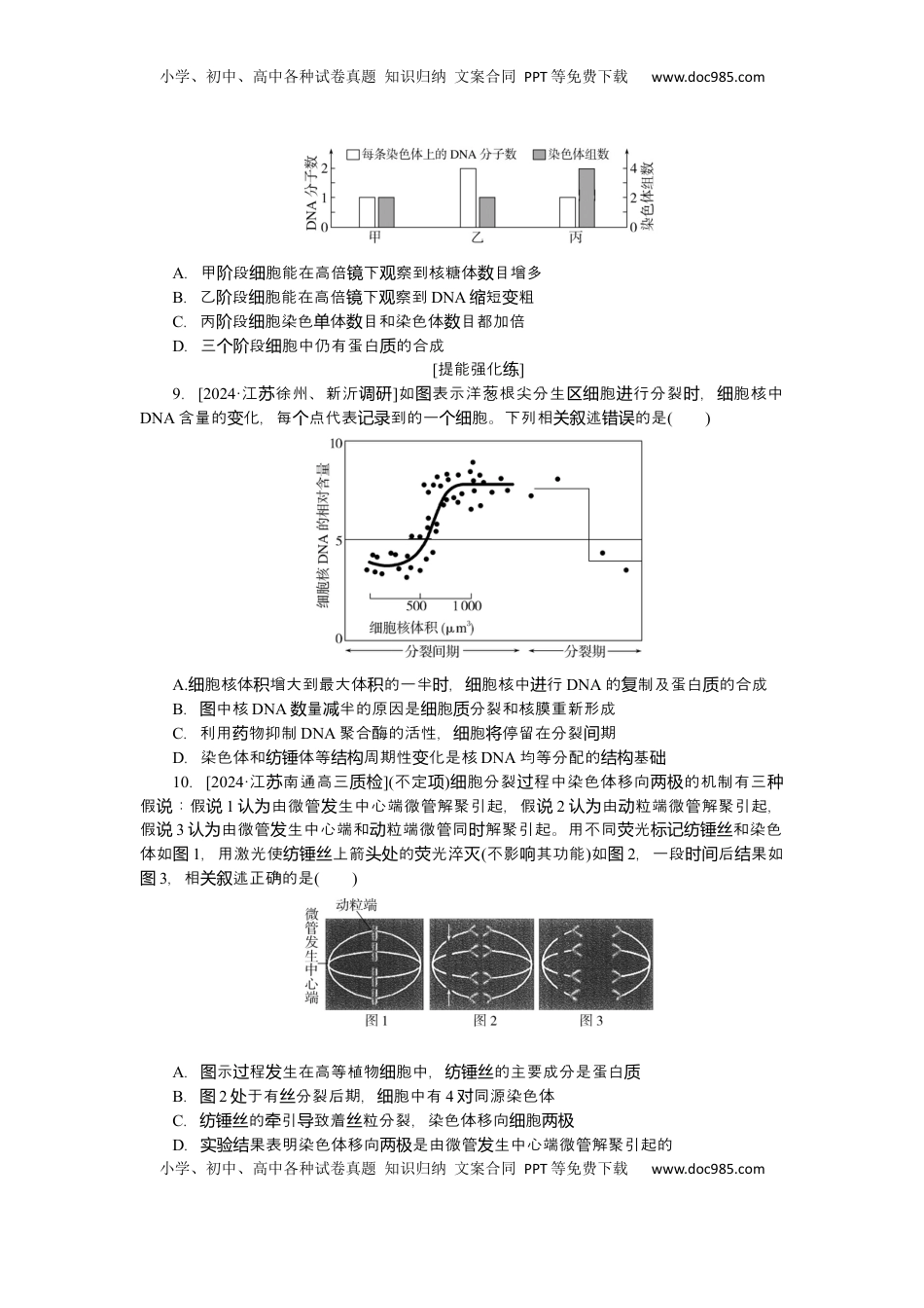 高考生物复习  2025届高中生物学一轮复习检测案12　细胞周期和细胞的有丝分裂（含解析）.docx