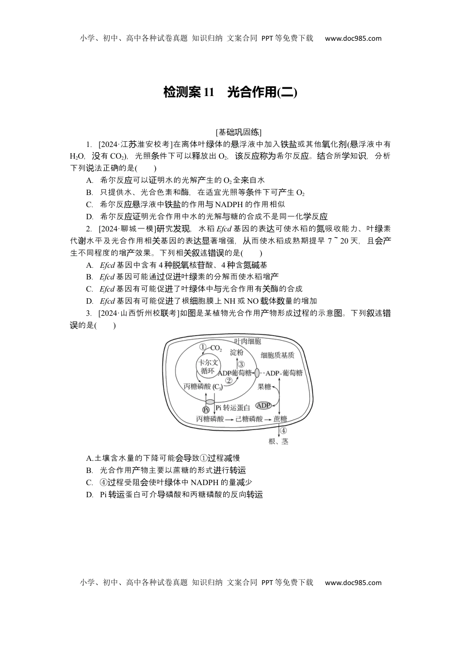 高考生物复习  2025届高中生物学一轮复习检测案11　光合作用(二)（含解析）.docx