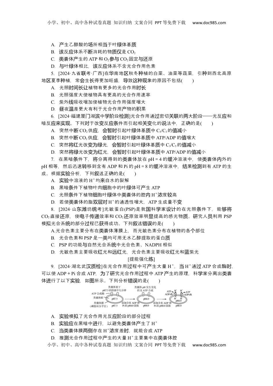 高考生物复习  2025届高中生物学一轮复习检测案10　光合作用(一)（含解析）.docx